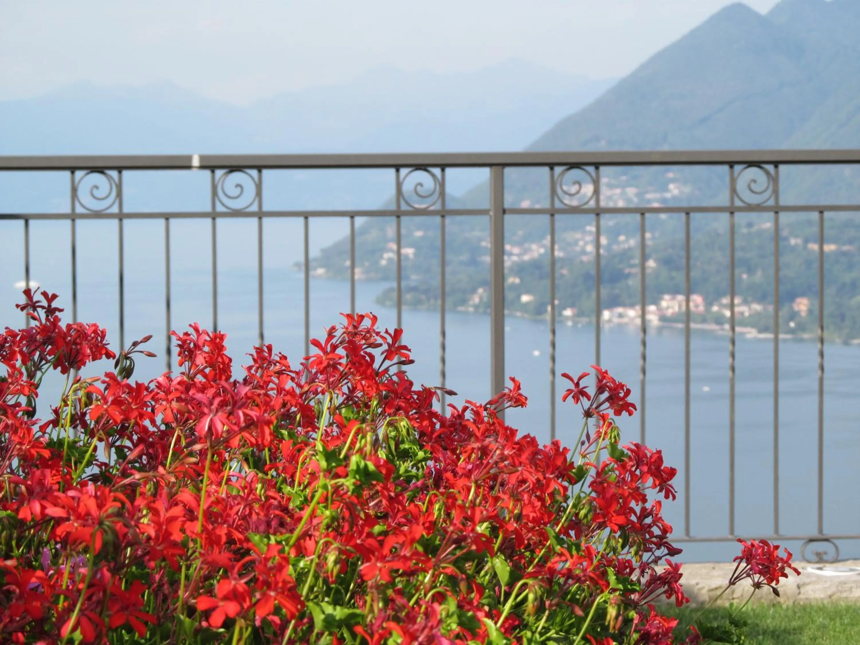 Spring in Hotel Brisino