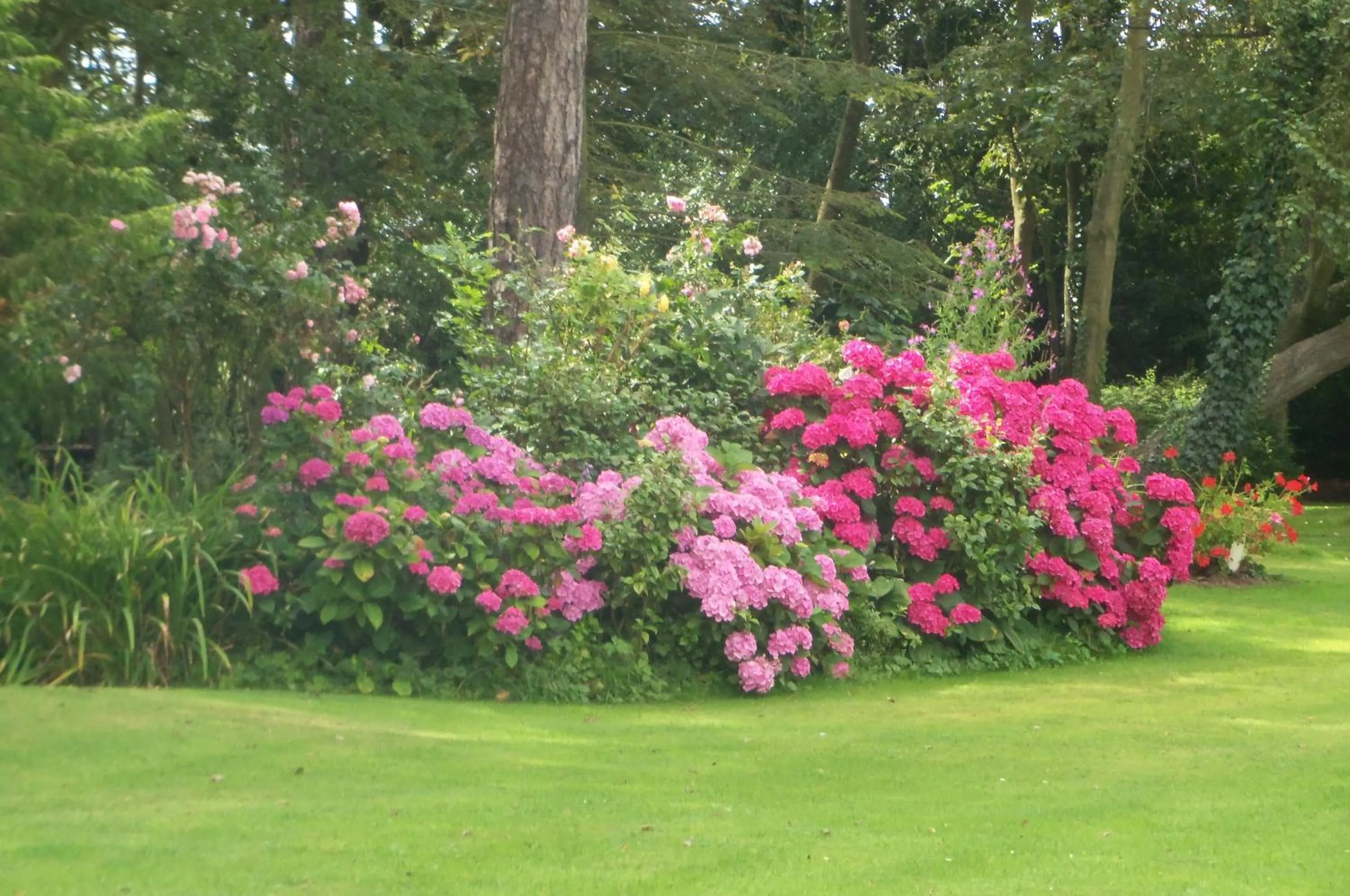 Garden in Le Point du Jour