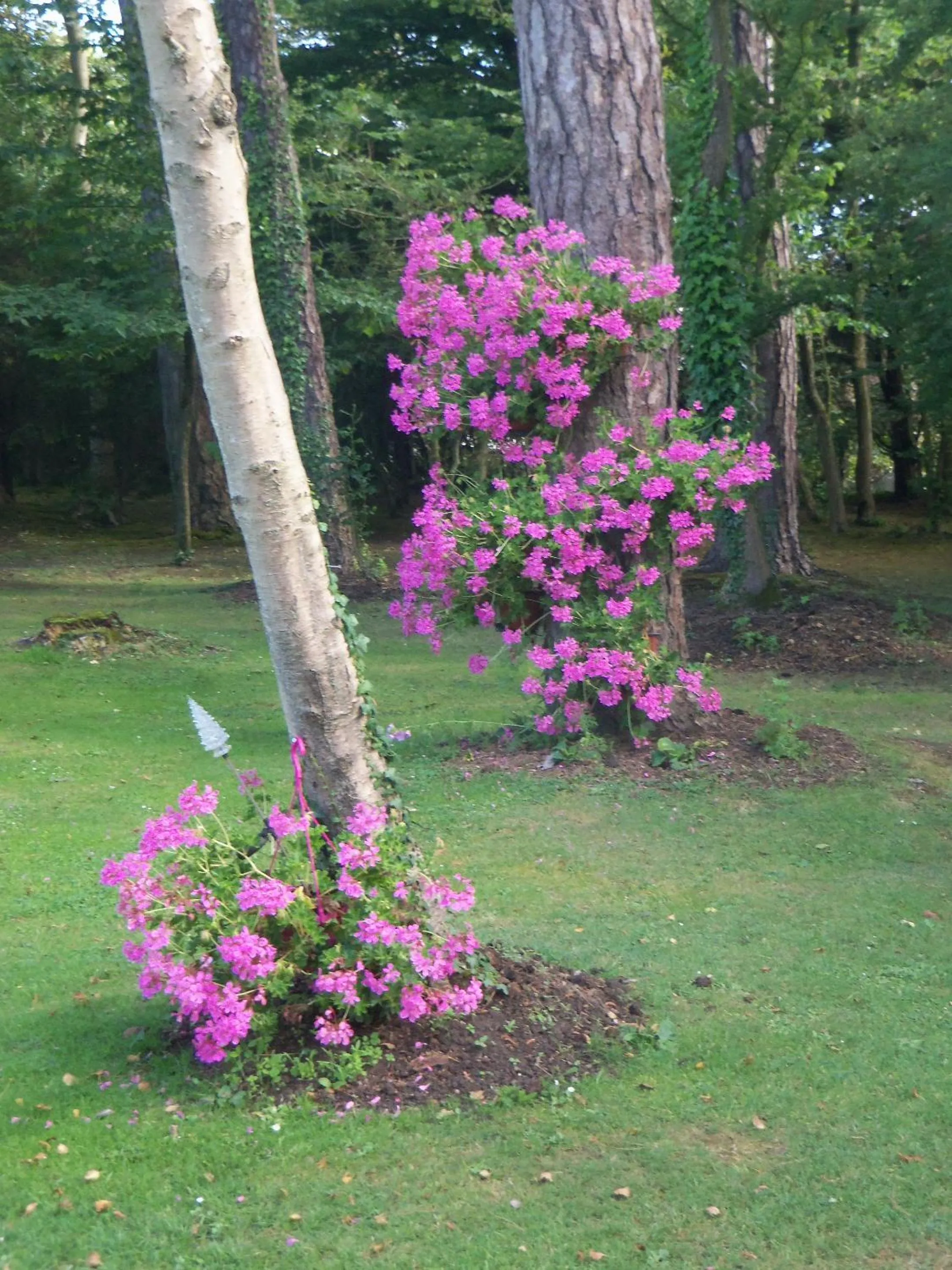 Natural landscape in Le Point du Jour