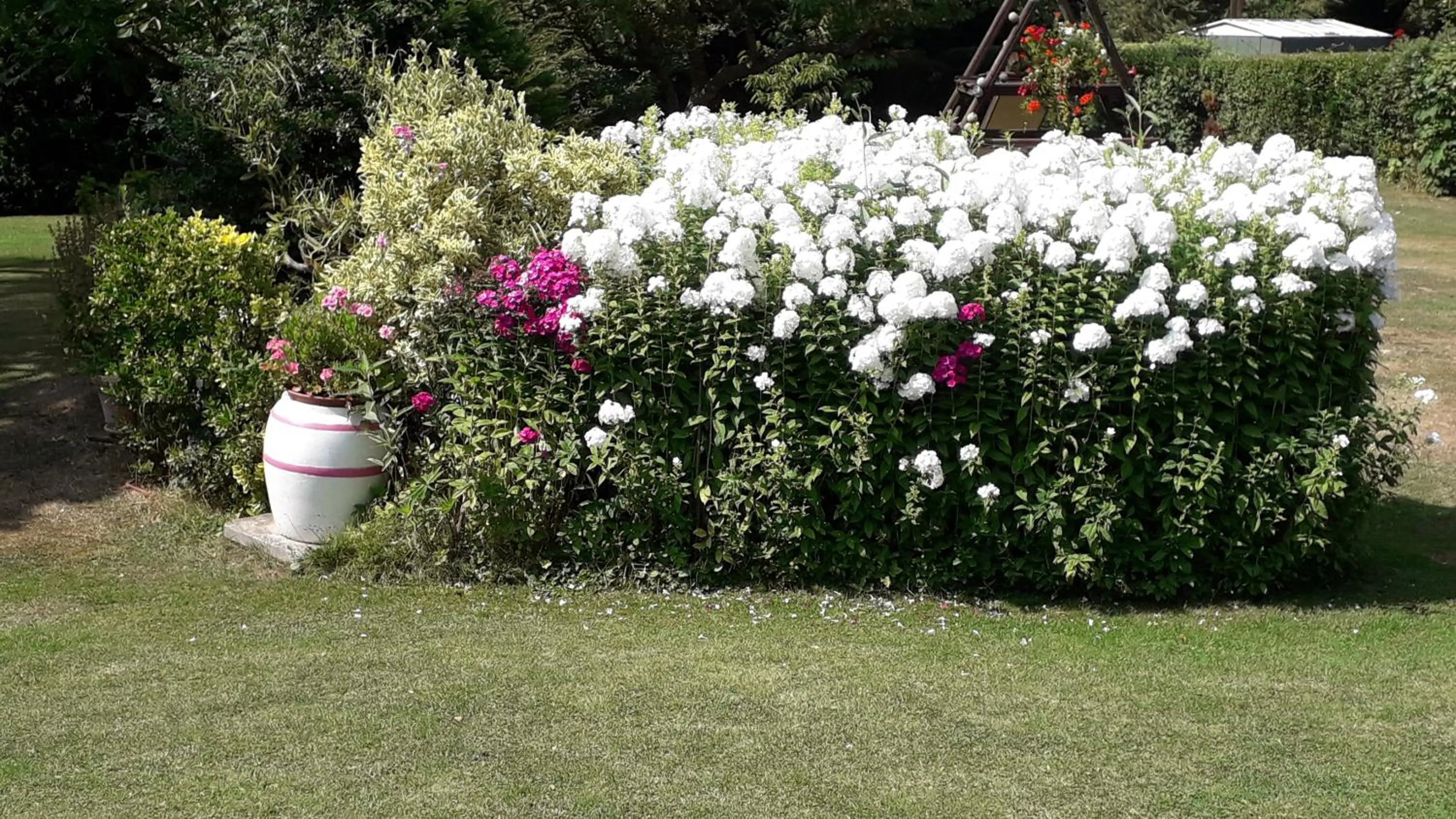 Summer in Le Point du Jour