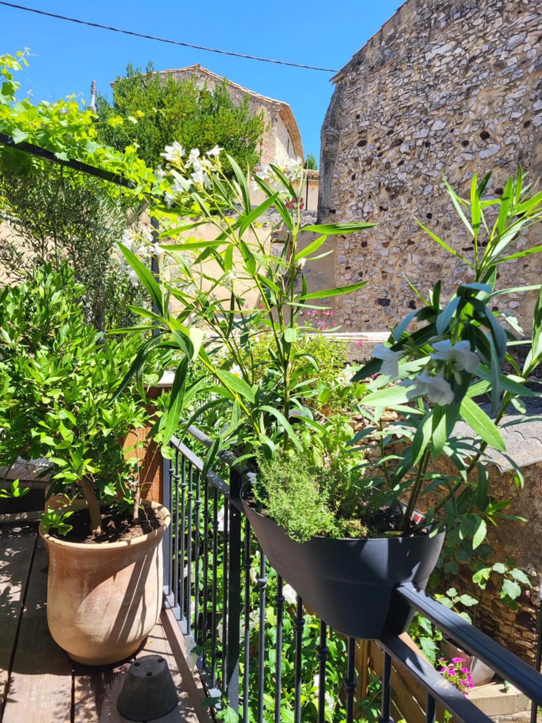 Garden view in La PULCINELLA Maison de Famille