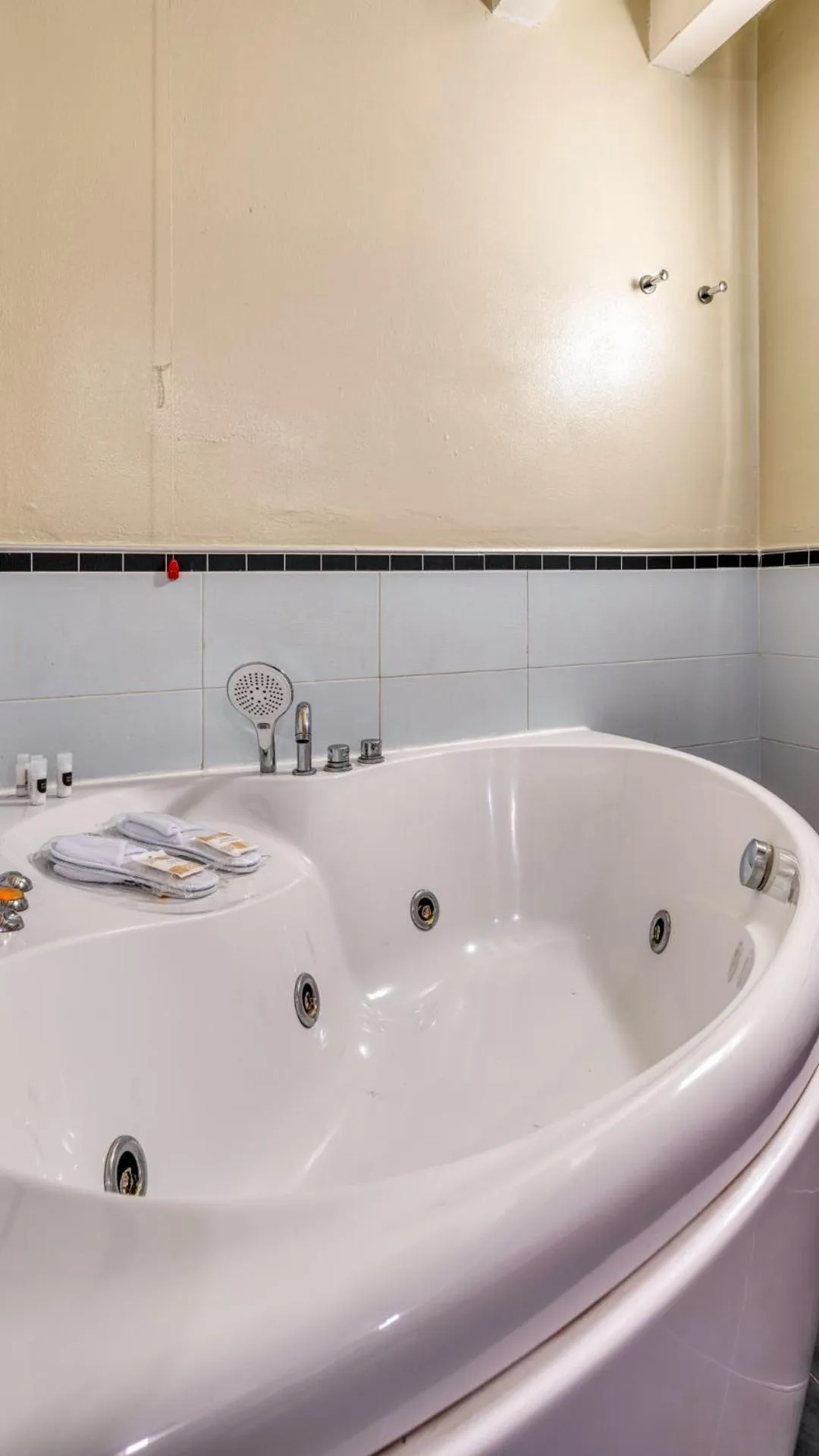 Hot Tub in Hotel Fiera Di Brescia