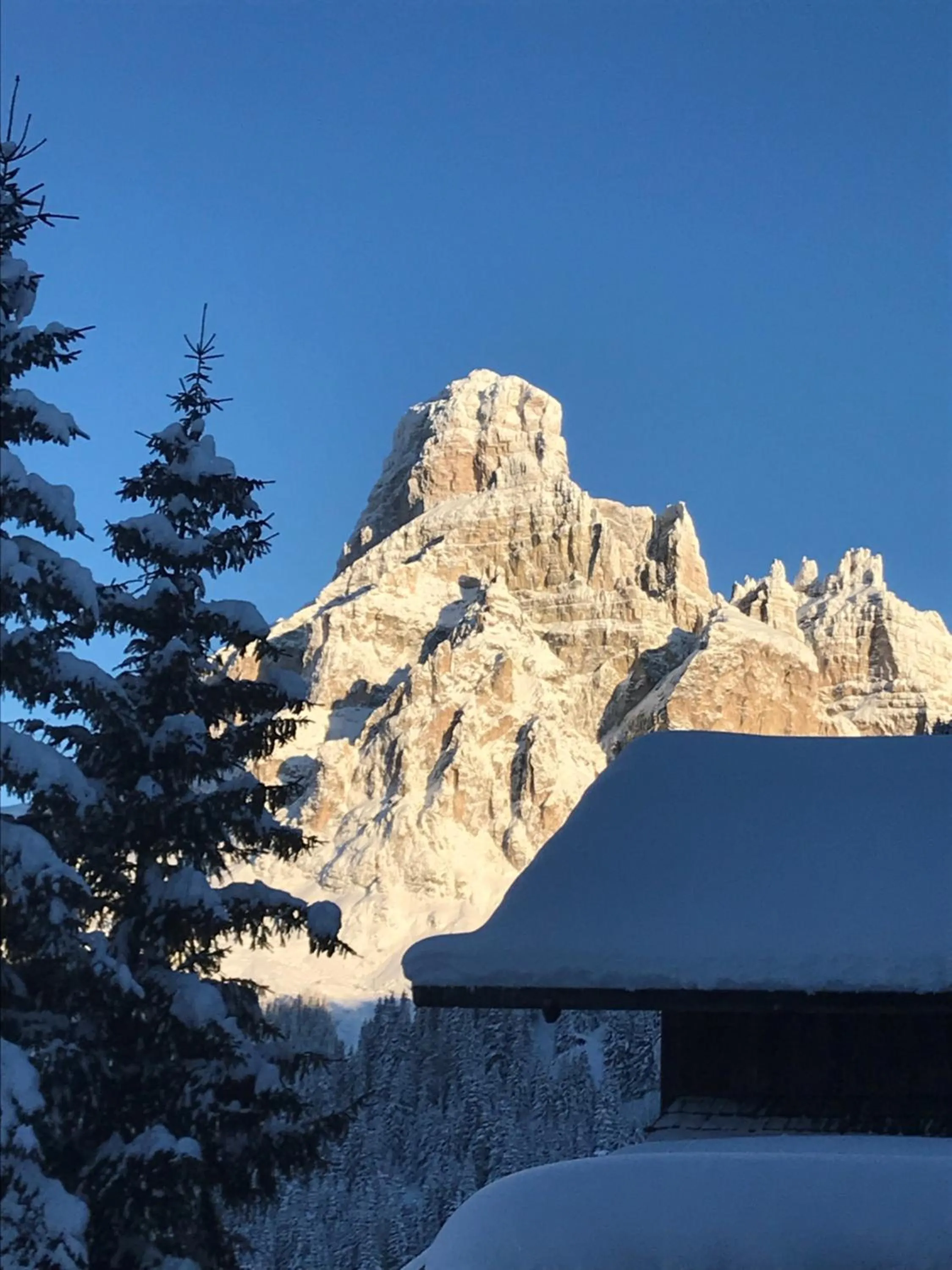 Natural landscape in Sporthotel Panorama