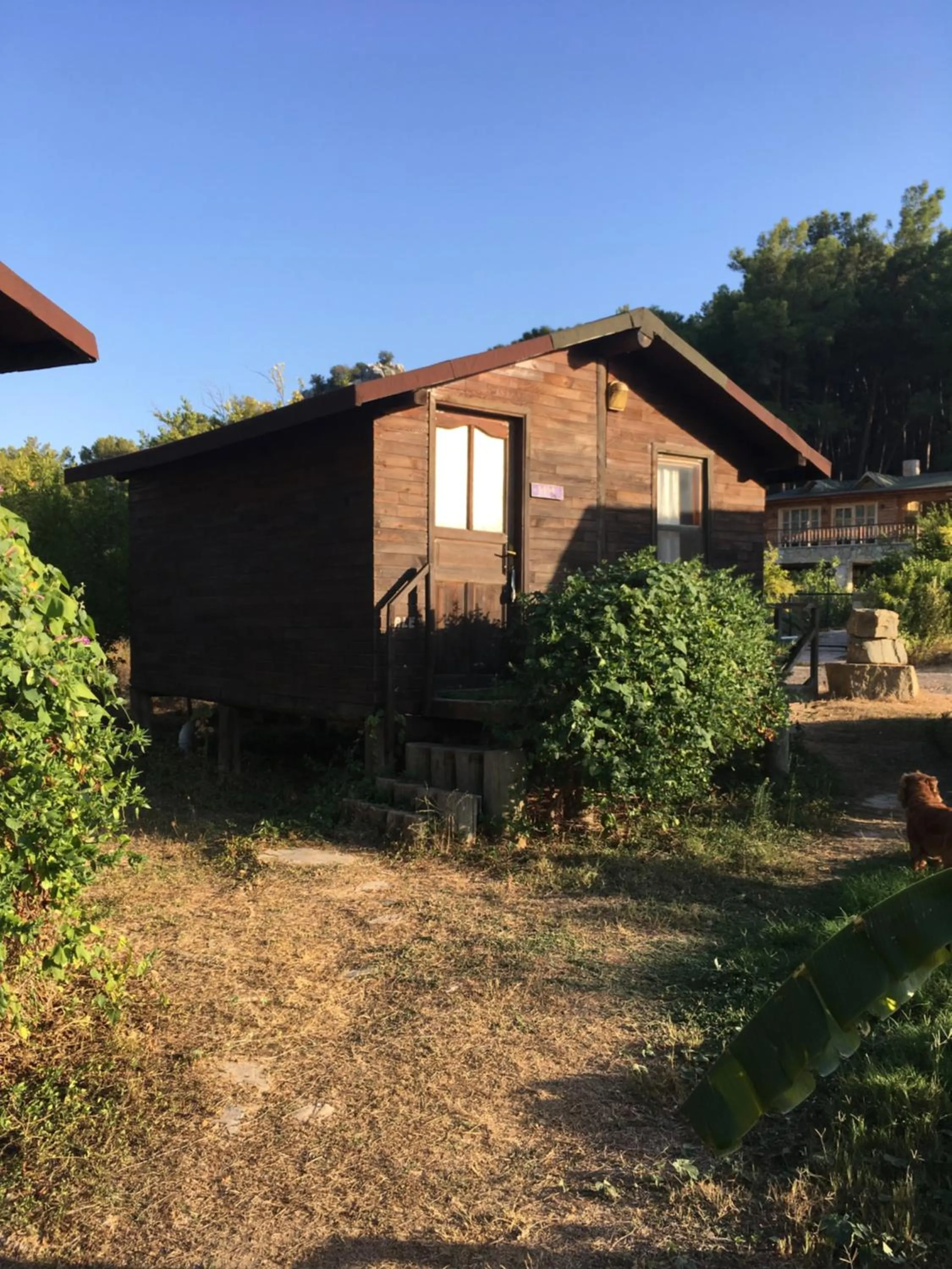 Photo of the whole room in HavaSuPark Bungalows