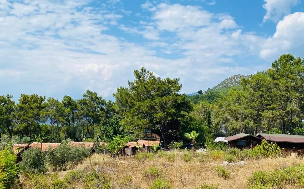 HavaSuPark Bungalows