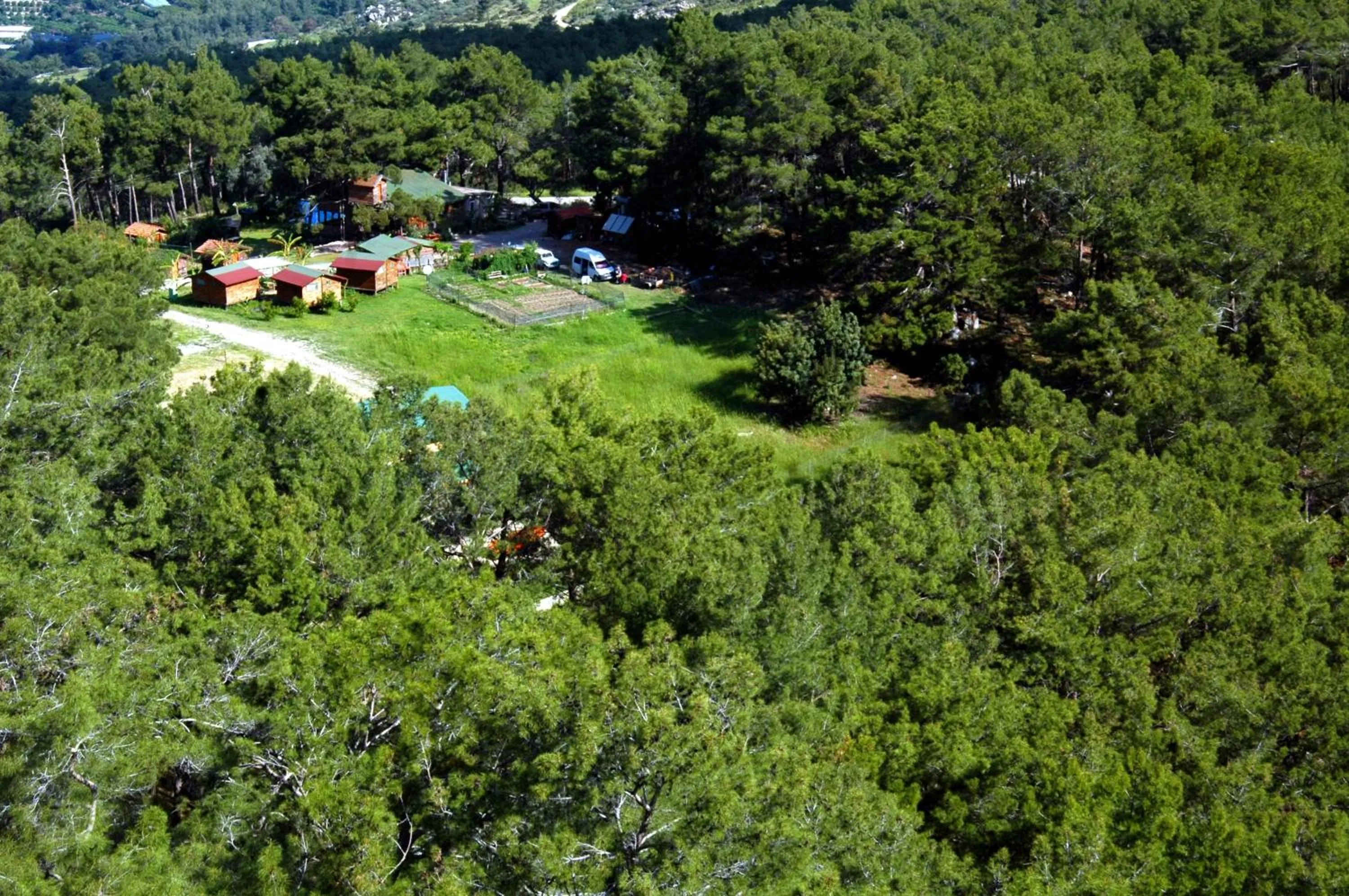 Natural landscape in HavaSuPark Bungalows