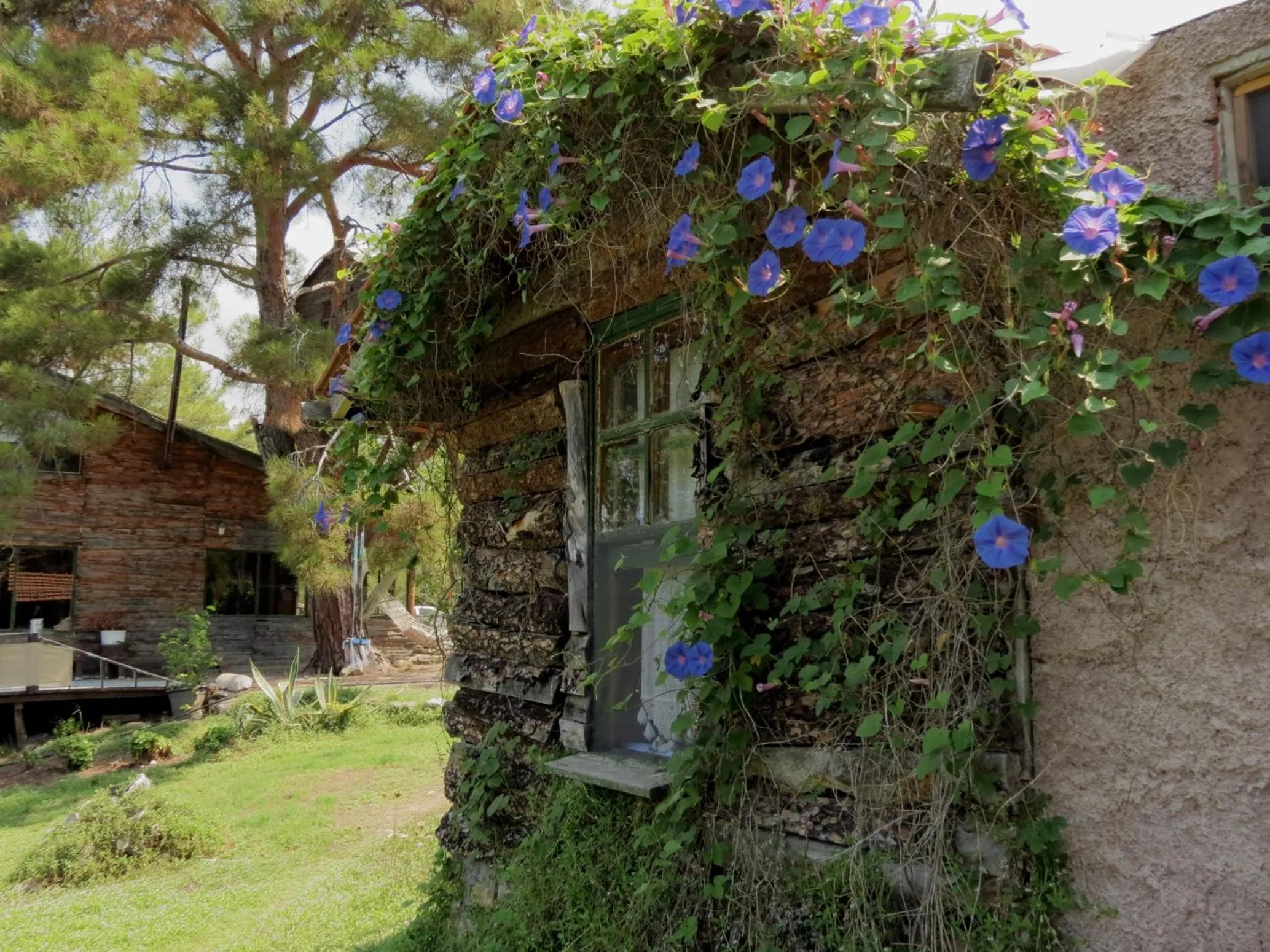 Photo of the whole room in HavaSuPark Bungalows