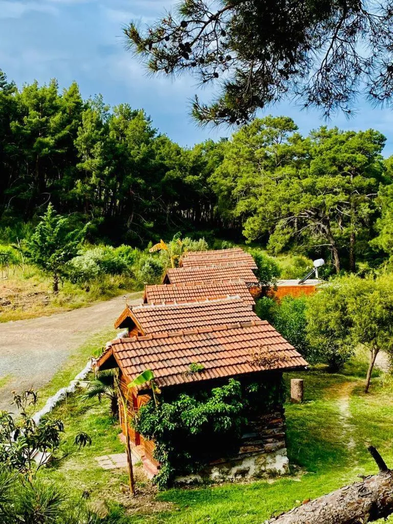 HavaSuPark Bungalows