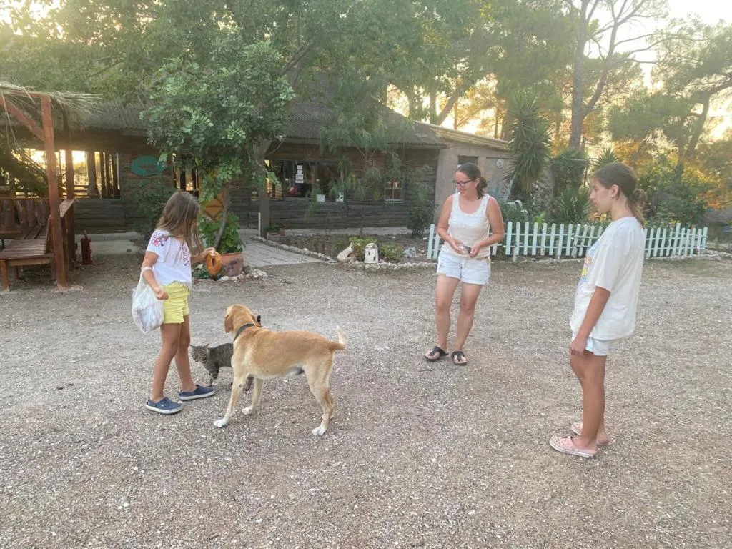 HavaSuPark Bungalows