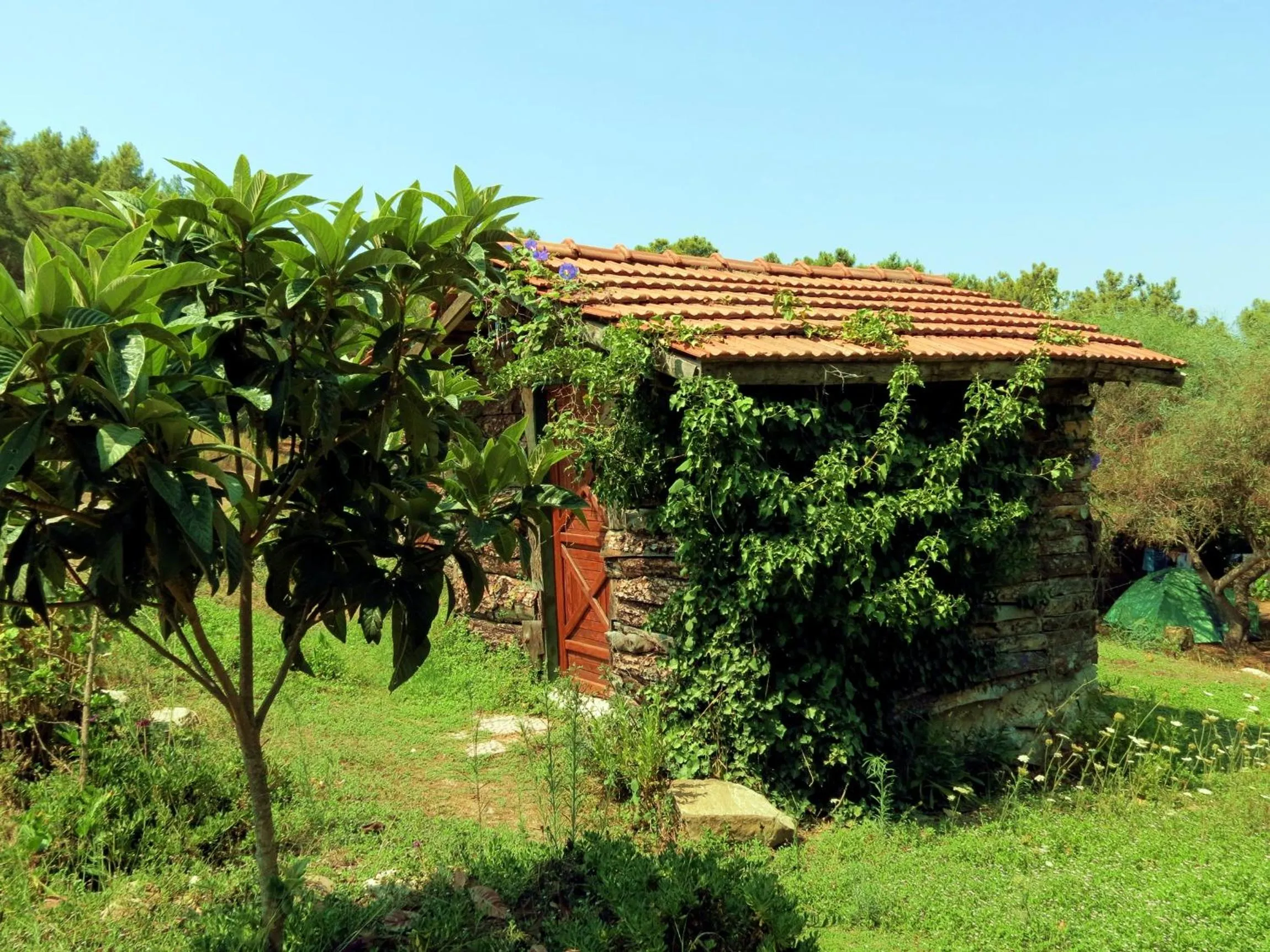 Property building in HavaSuPark Bungalows