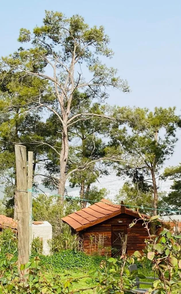 HavaSuPark Bungalows