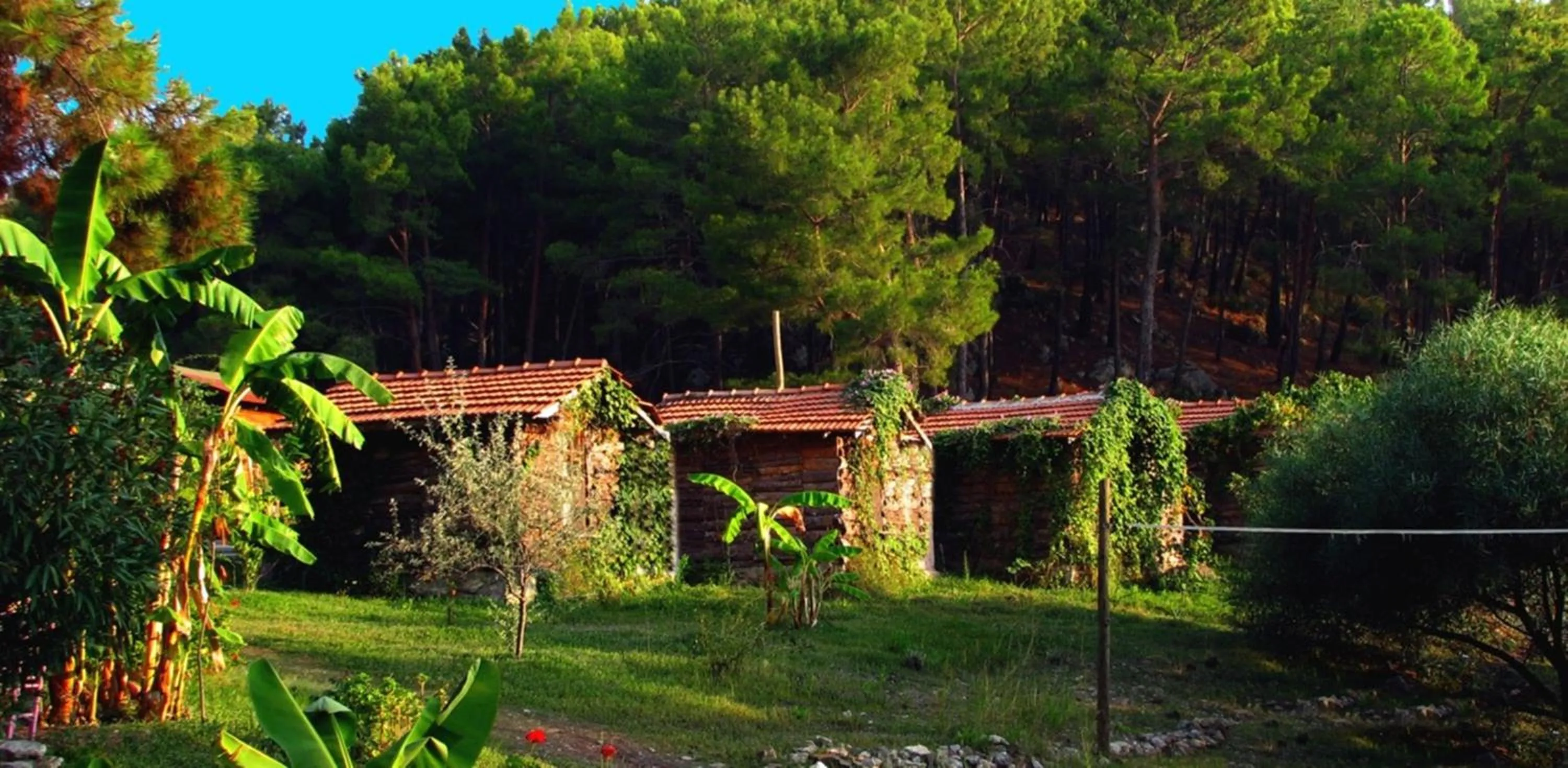 Photo of the whole room in HavaSuPark Bungalows