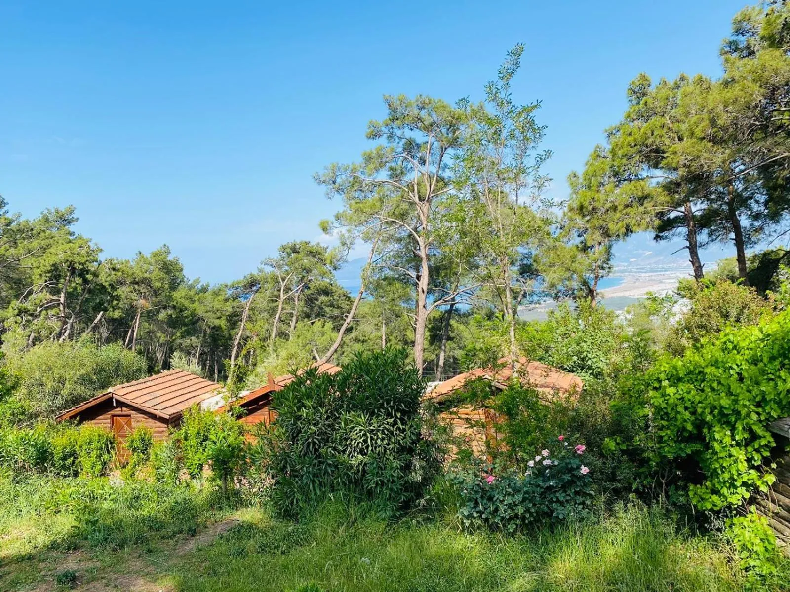 HavaSuPark Bungalows