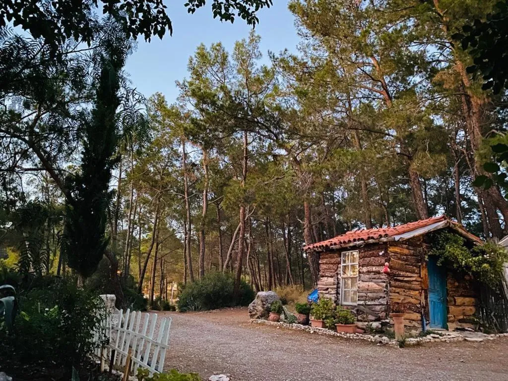 HavaSuPark Bungalows