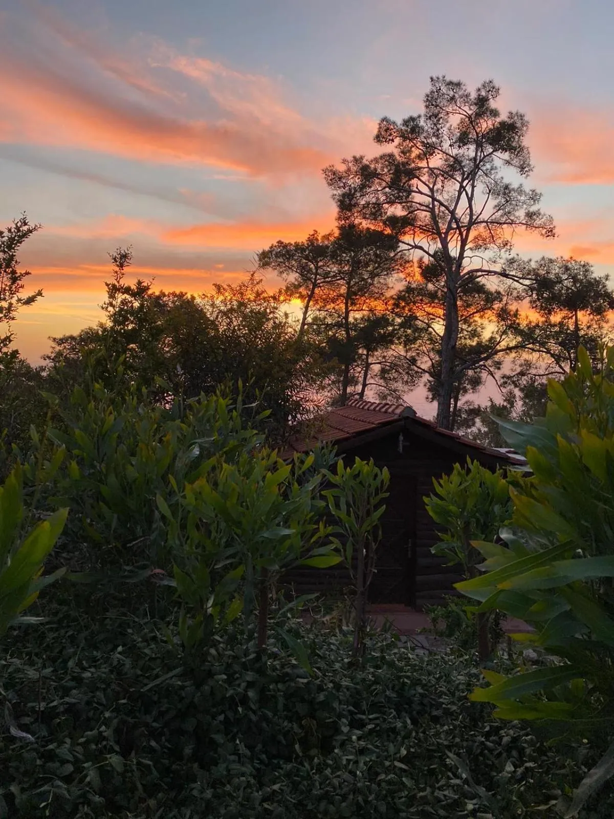 HavaSuPark Bungalows