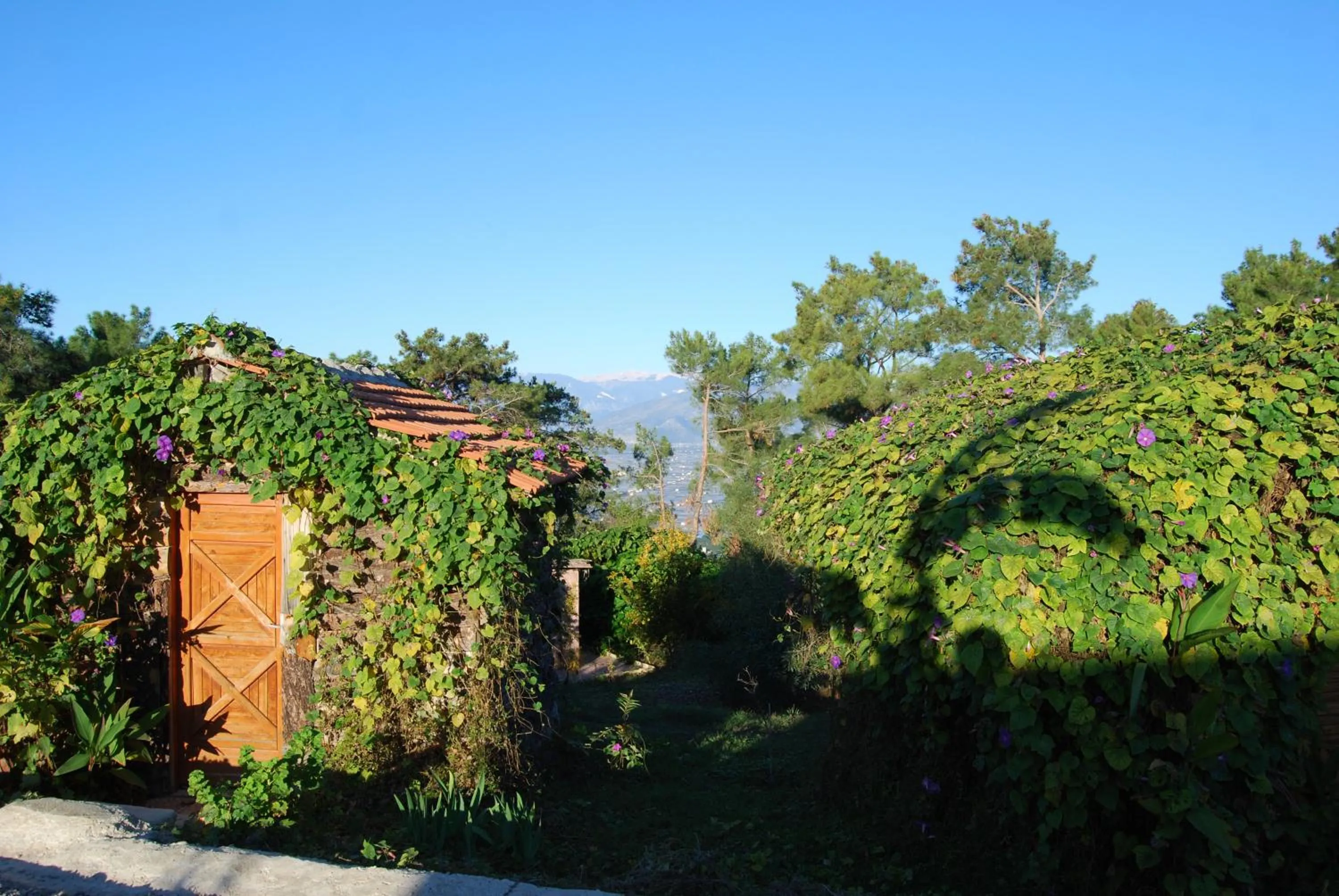 Photo of the whole room in HavaSuPark Bungalows