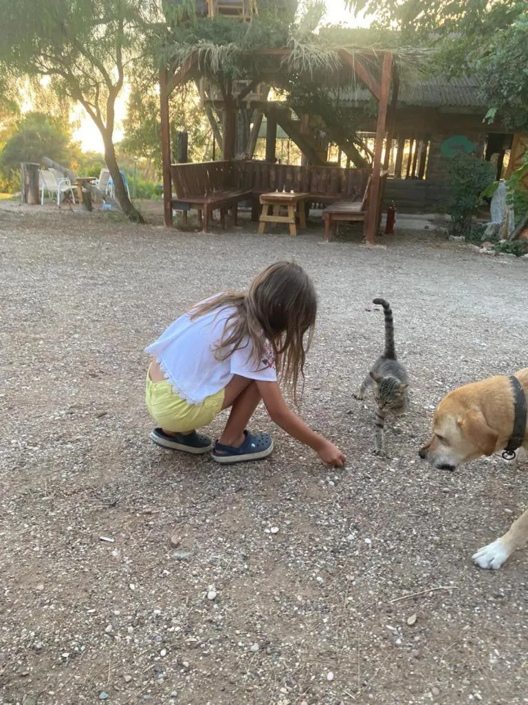 HavaSuPark Bungalows