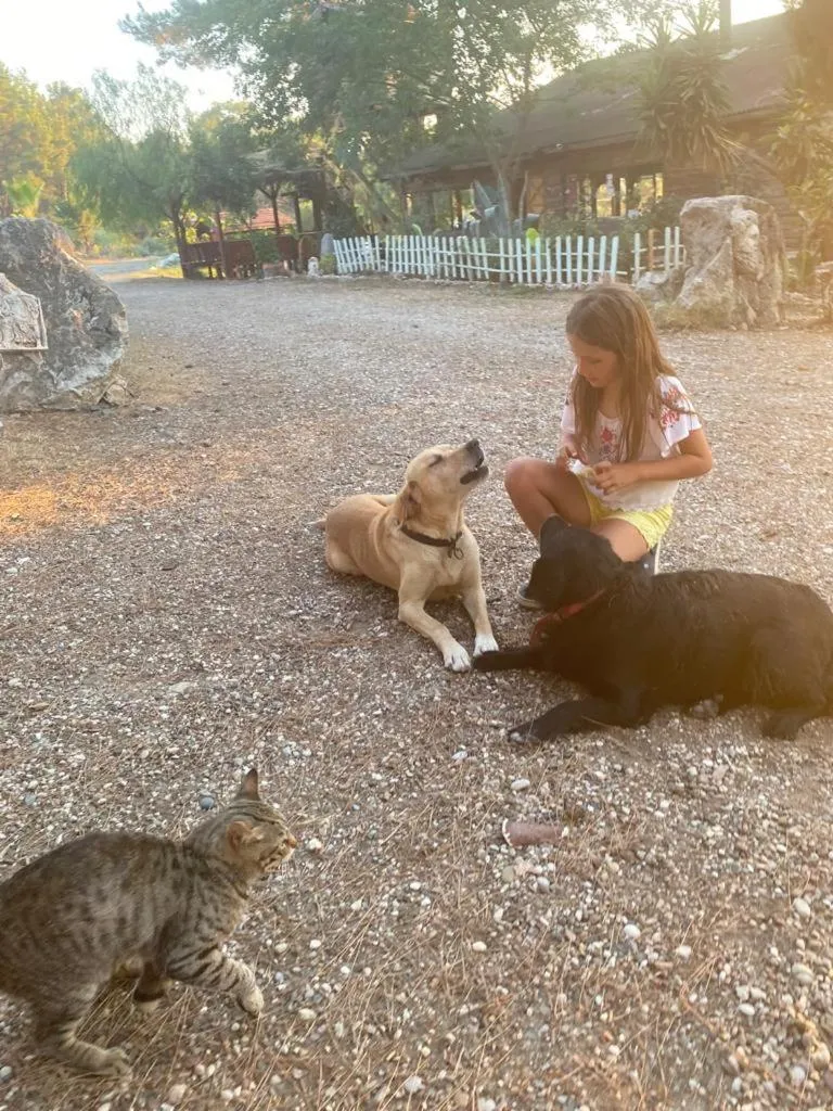 HavaSuPark Bungalows