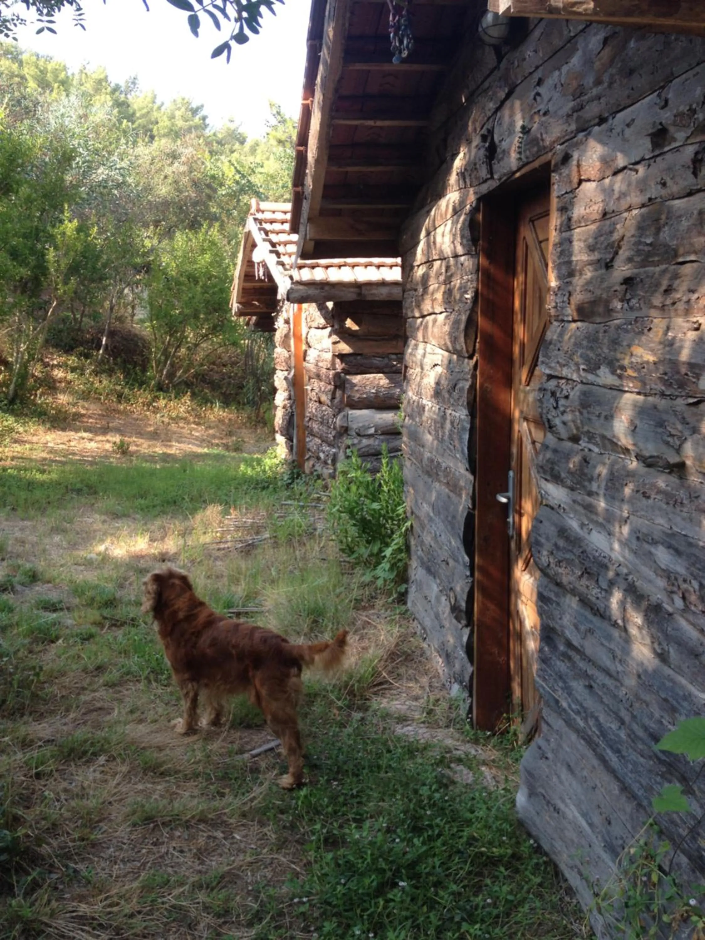 Other in HavaSuPark Bungalows