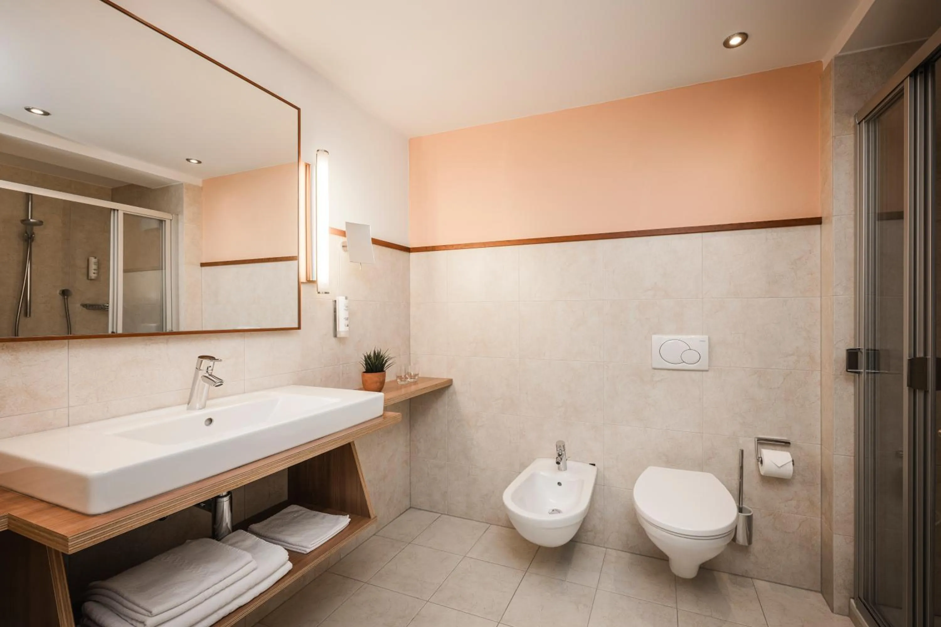 Shower in Hotel Clara