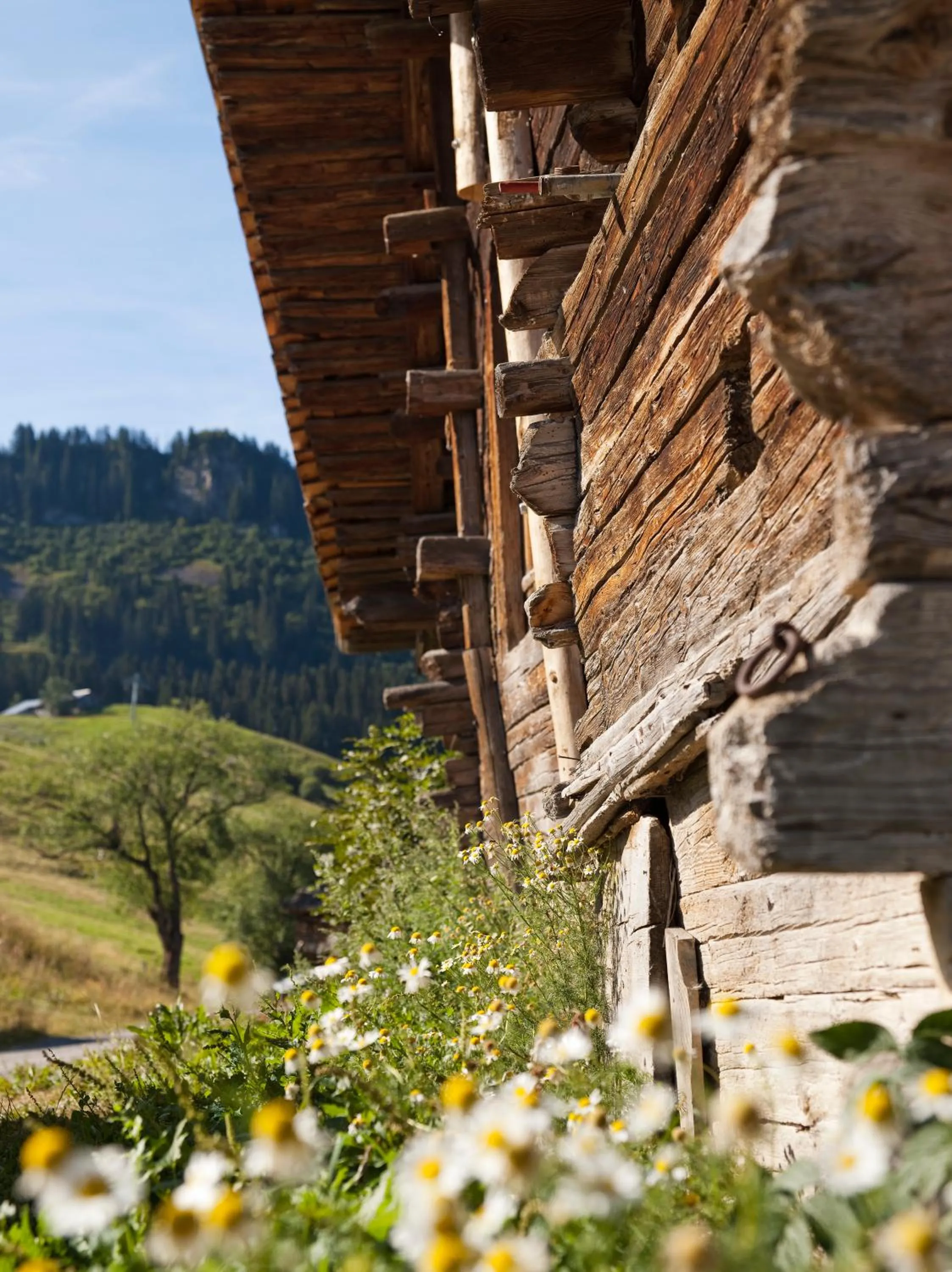 Natural landscape in MGM Hôtels & Résidences - Résidence Le Roc Des Tours