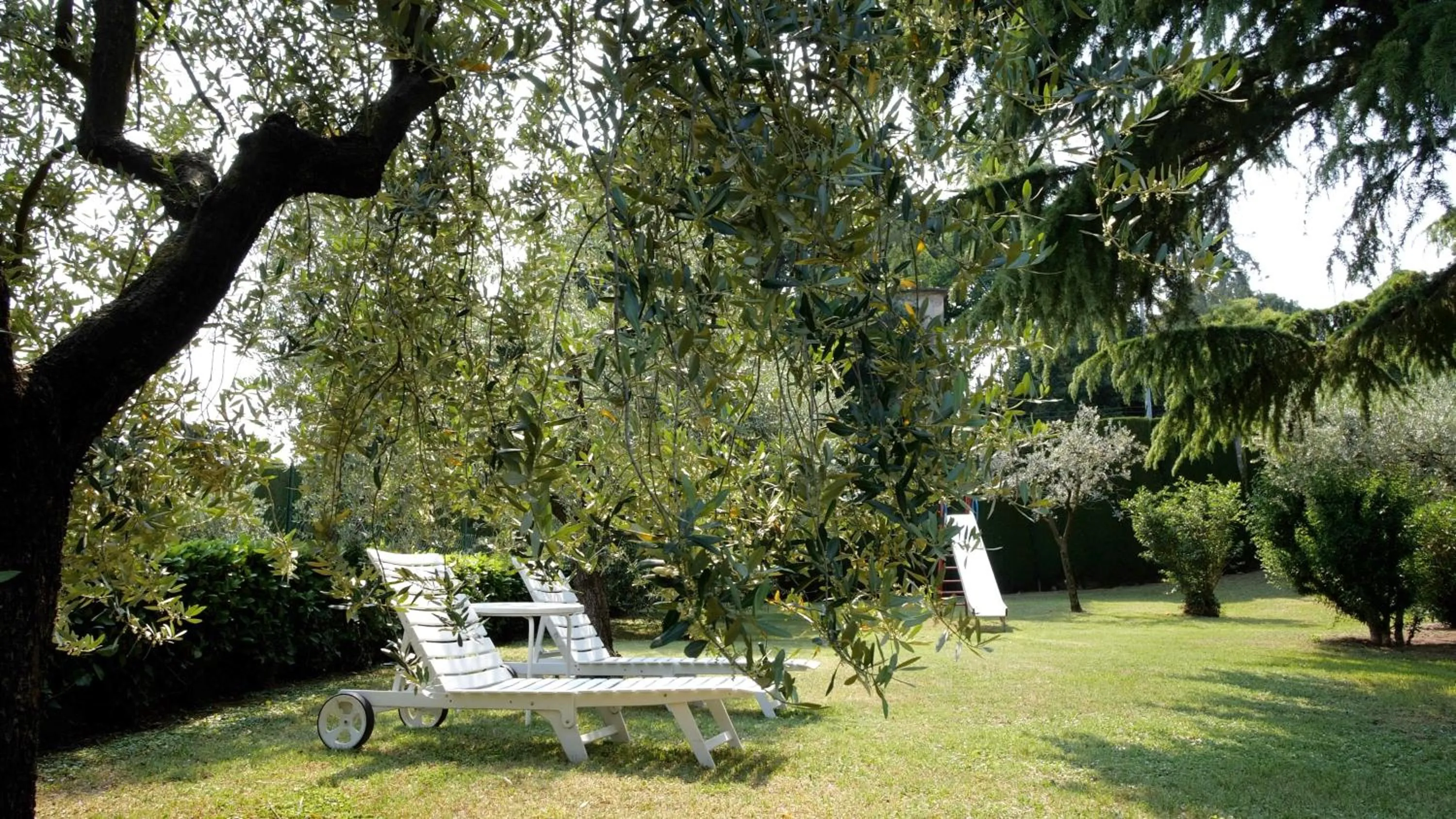 Garden in Hotel Garden