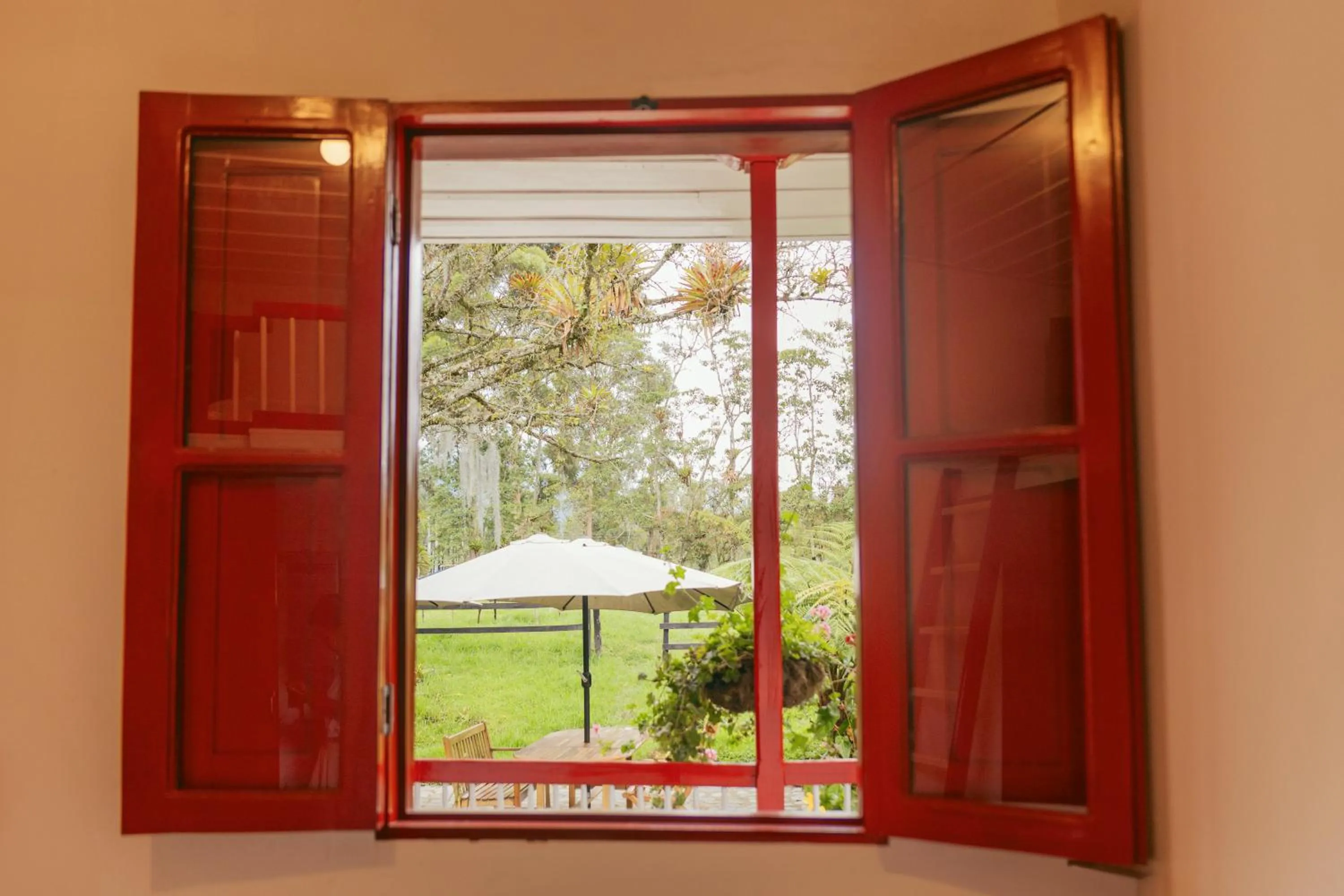Garden view in La Cabaña Ecohotel - Valle del Cocora