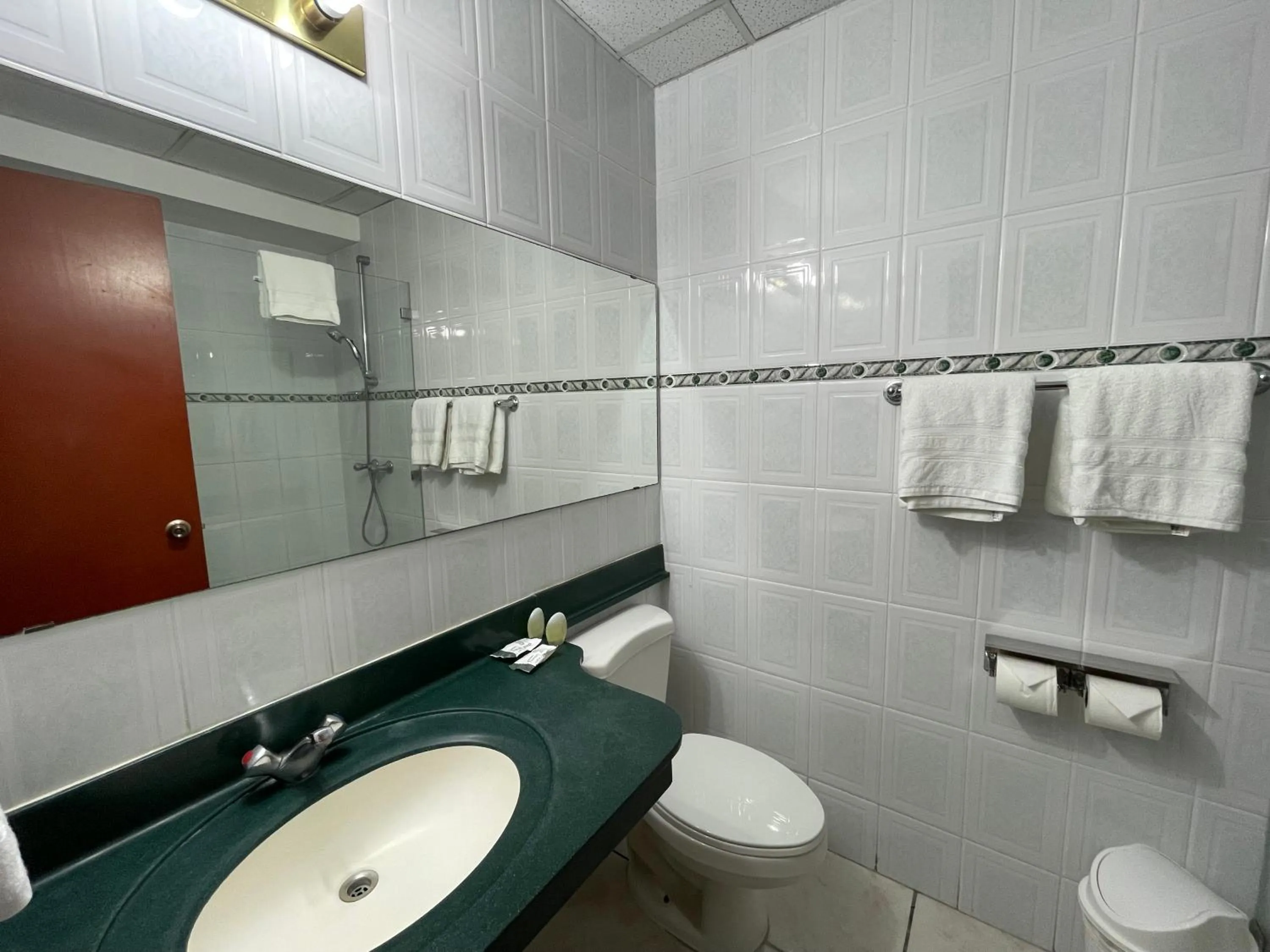 Bathroom in Hotel Gardenia Inn