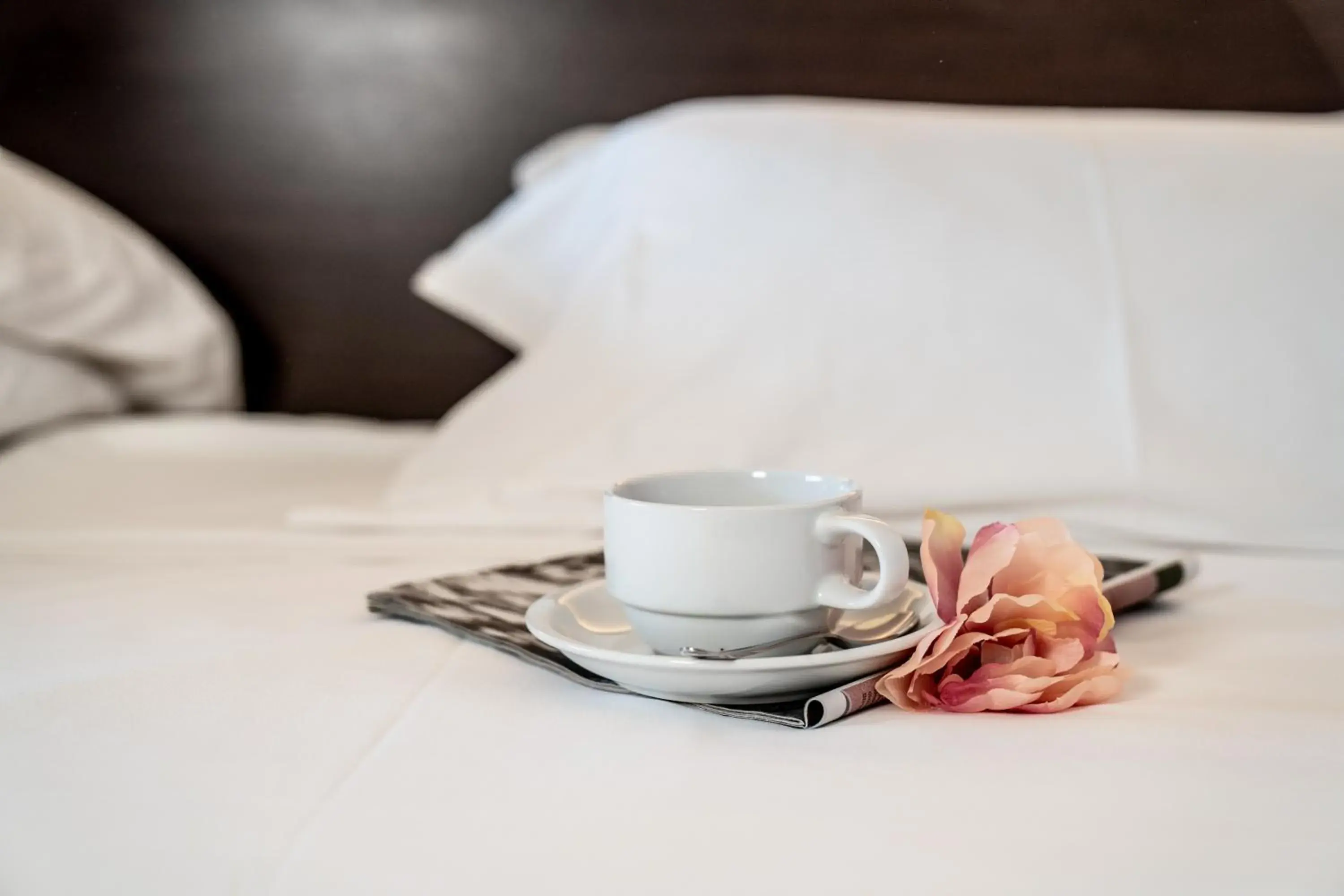 Double Room in Hotel Pergola Double Room in Hotel Pergola