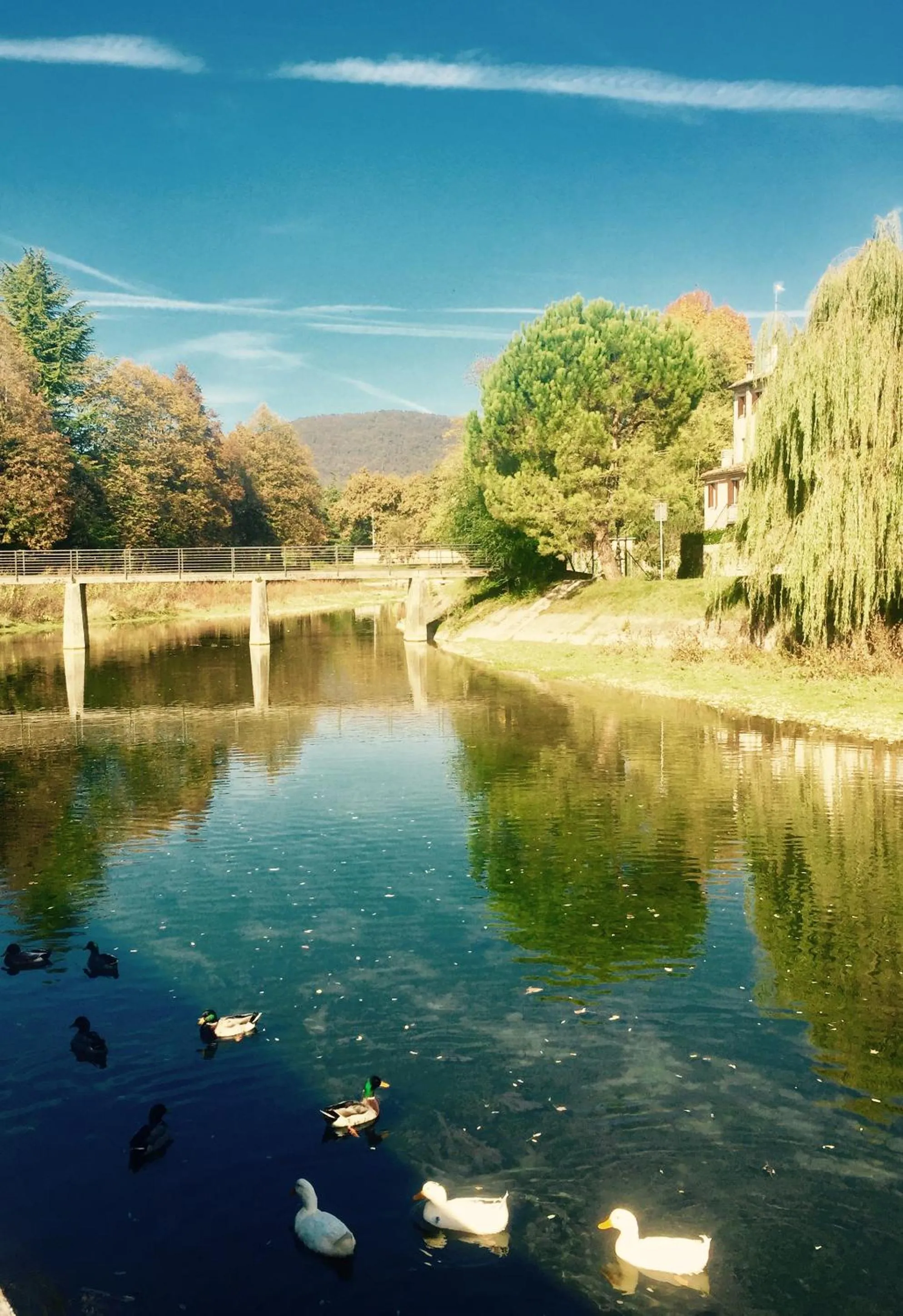 Hotel Contà Taste The Experience