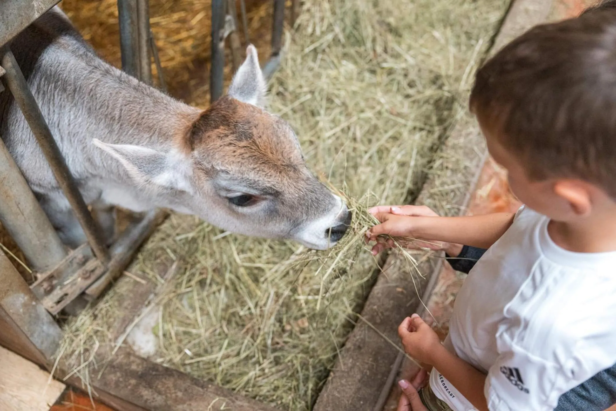 MyTime Hotels la Grotta