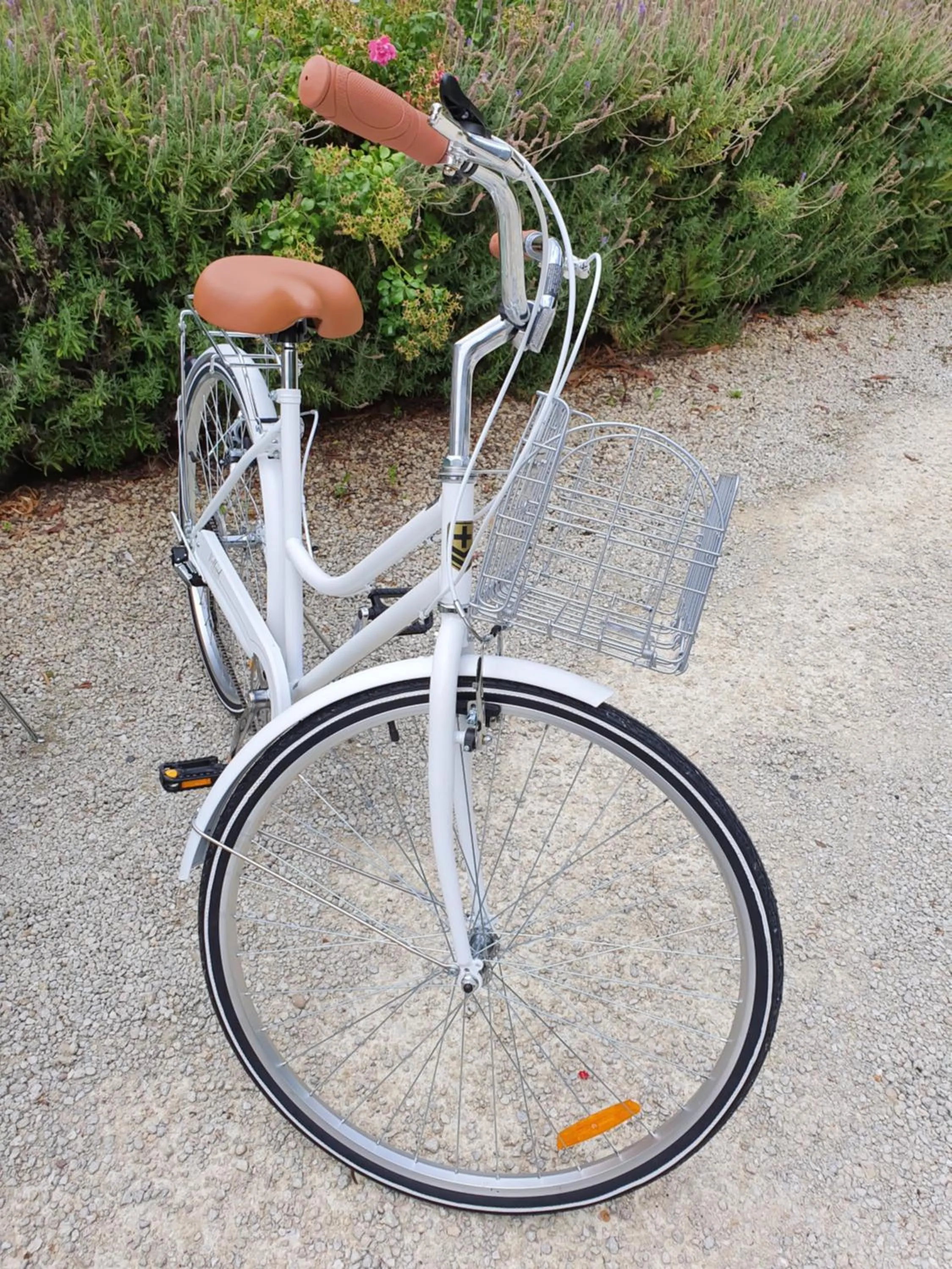 Cycling in Swan House