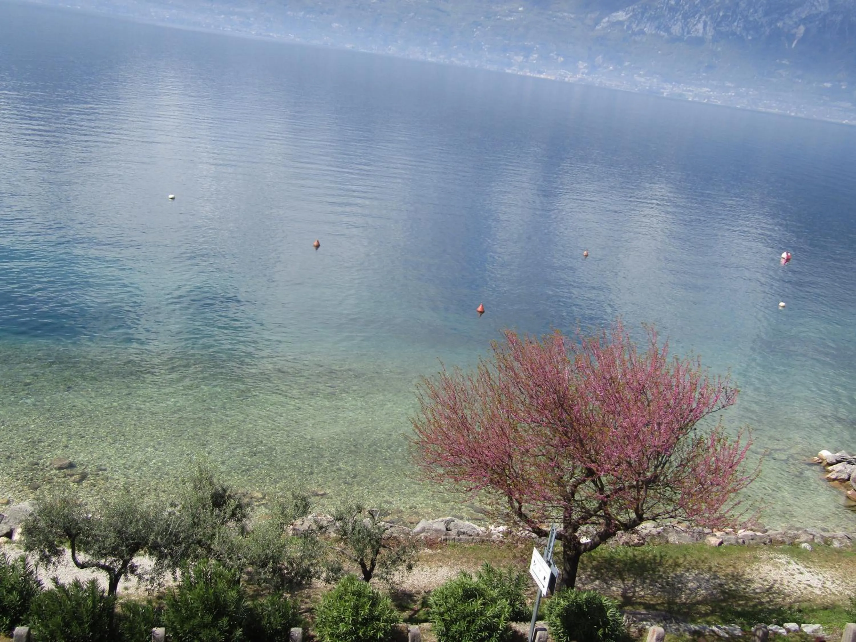 Day in Hotel Menapace