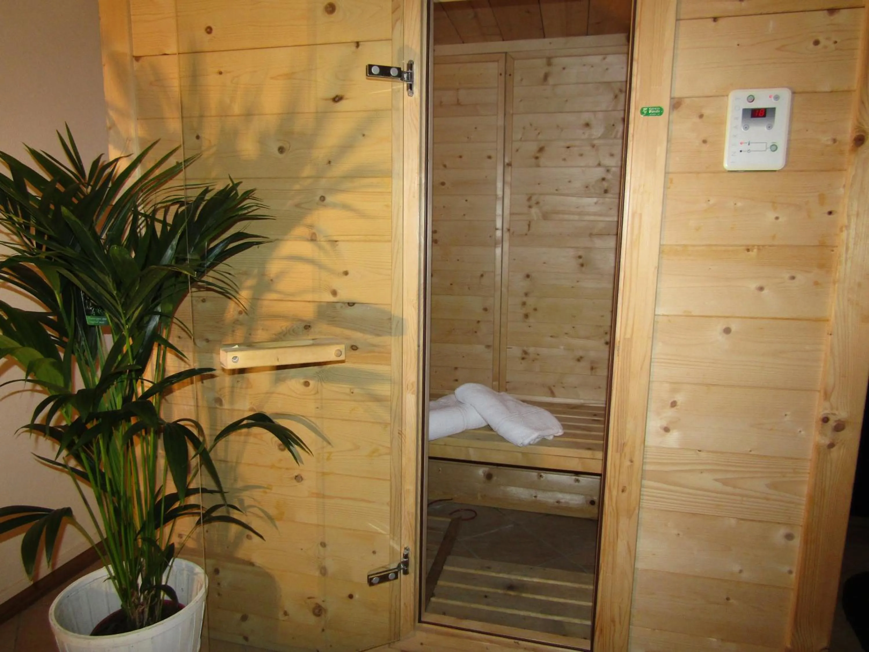 Sauna in Hotel Menapace