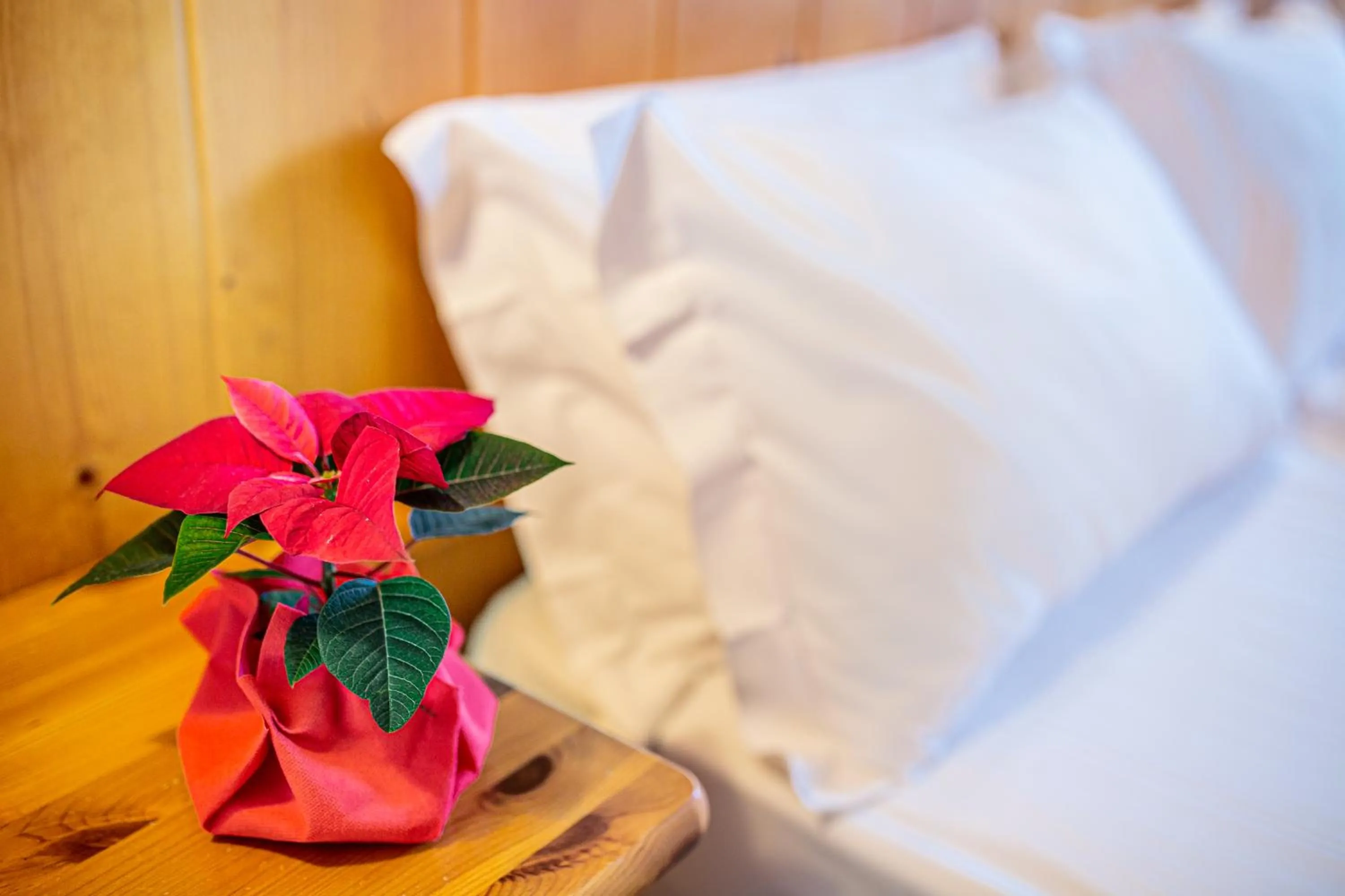 Property building, Bed in Hotel Nigritella