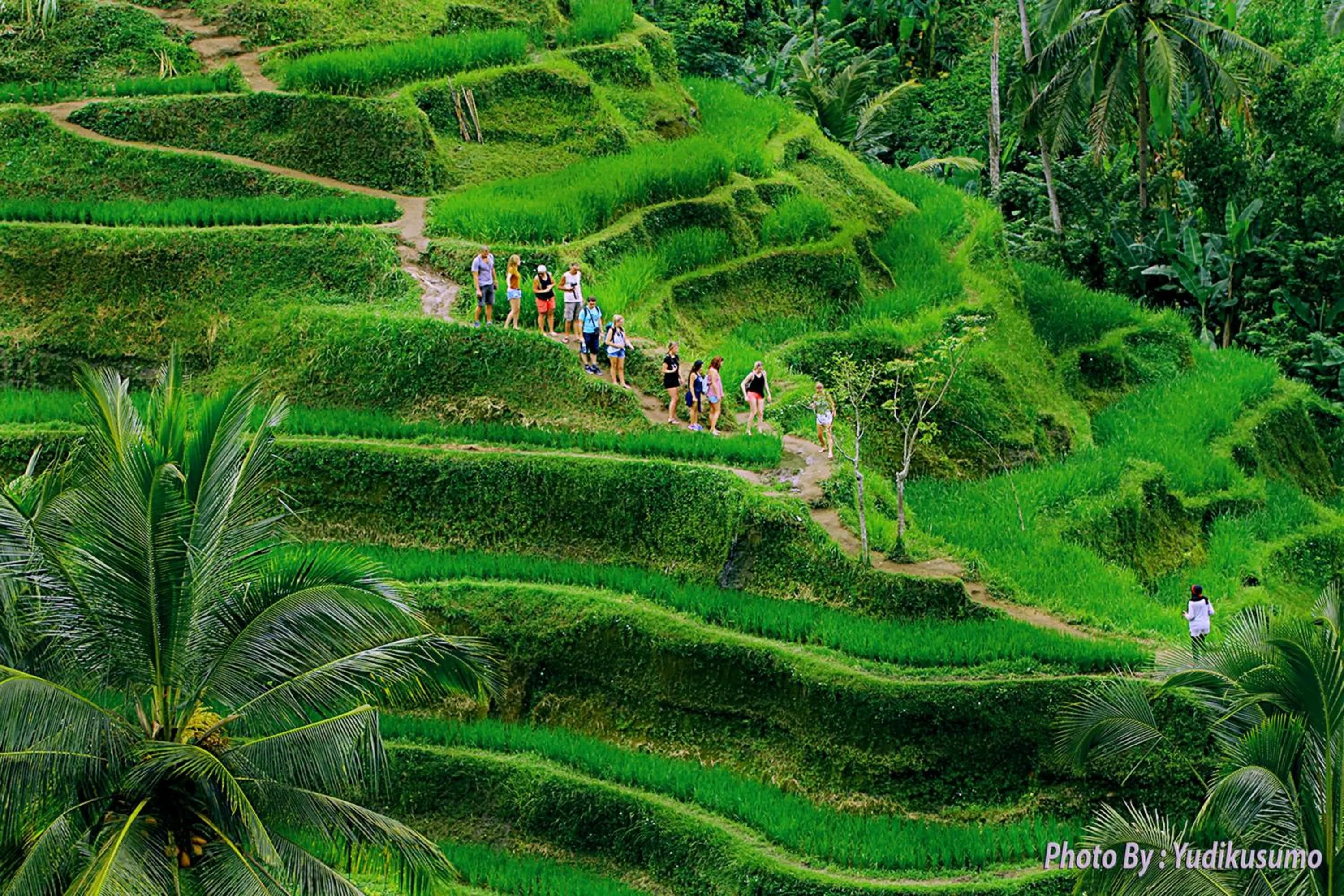 Entertainment in Tetirah Boutique Hotel