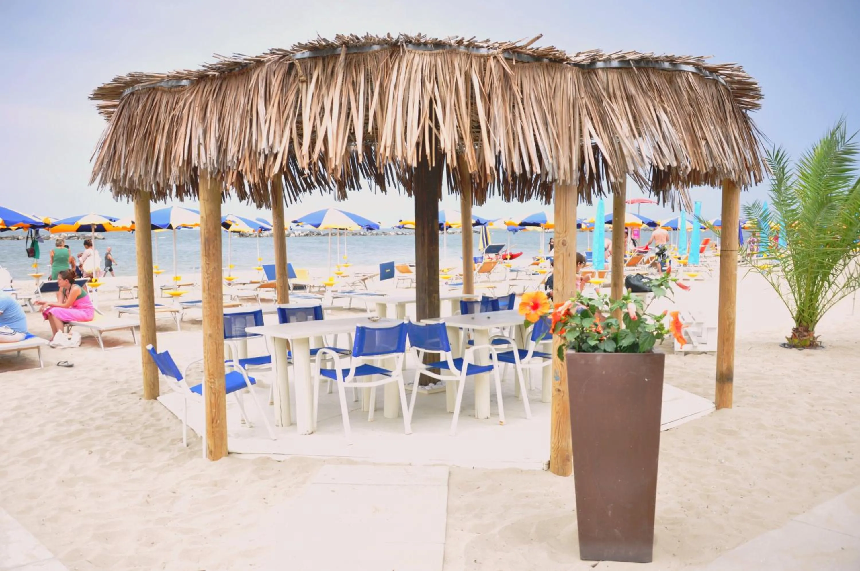 Beach in Grand Hotel Azzurra Club