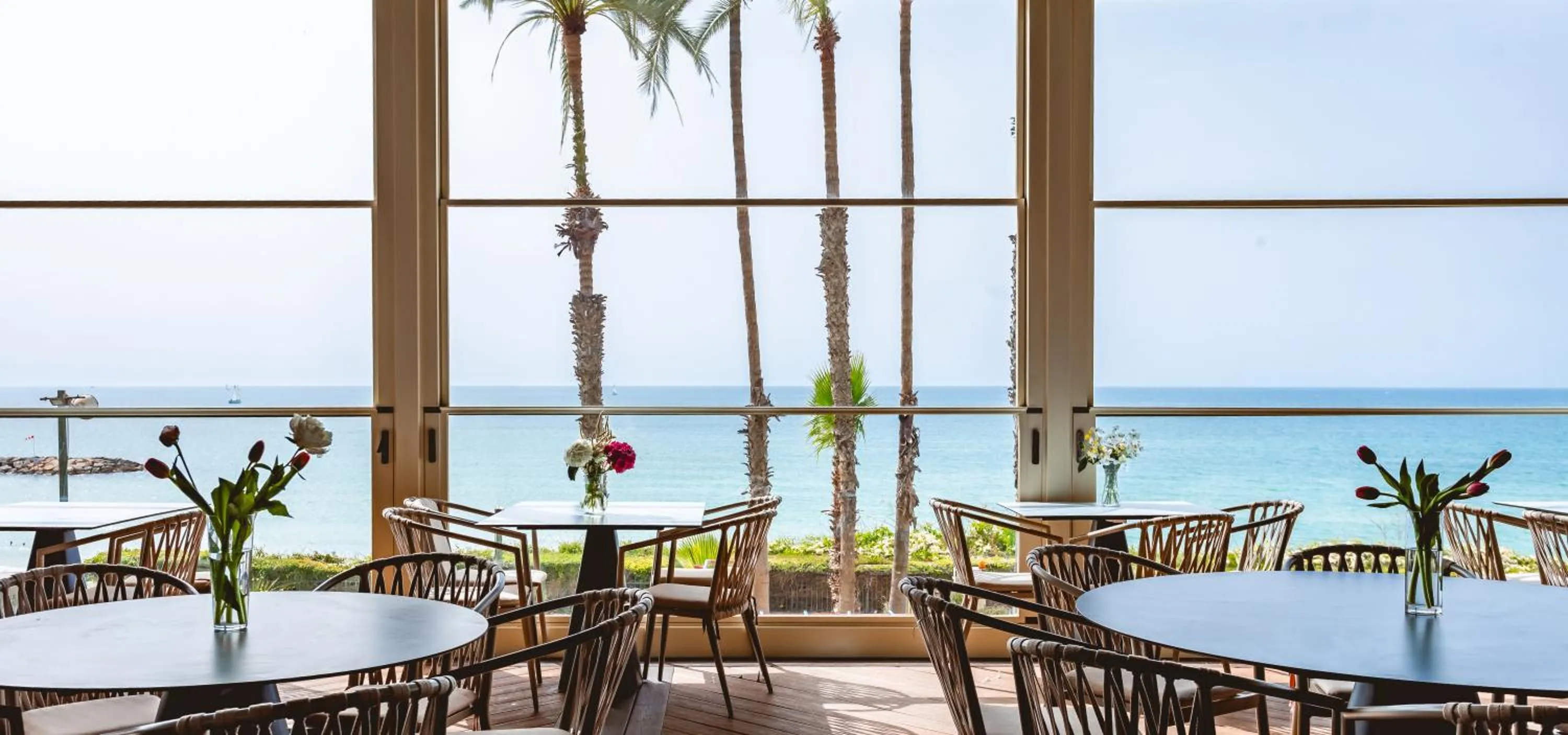 Restaurant/places to eat in Daniel Herzliya Hotel