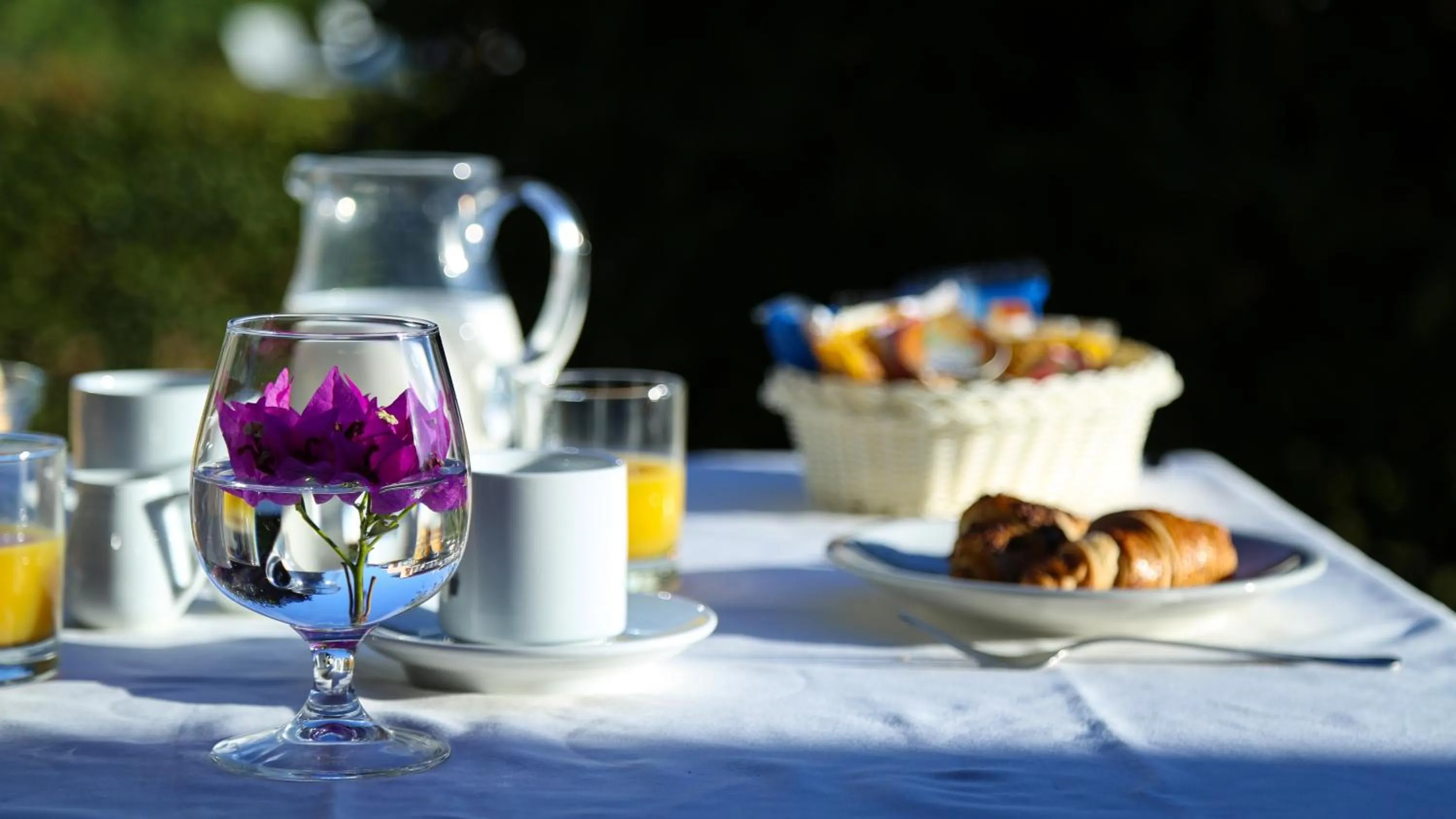 Food and drinks in Swadeshi Sporting Hotel Tanca Manna