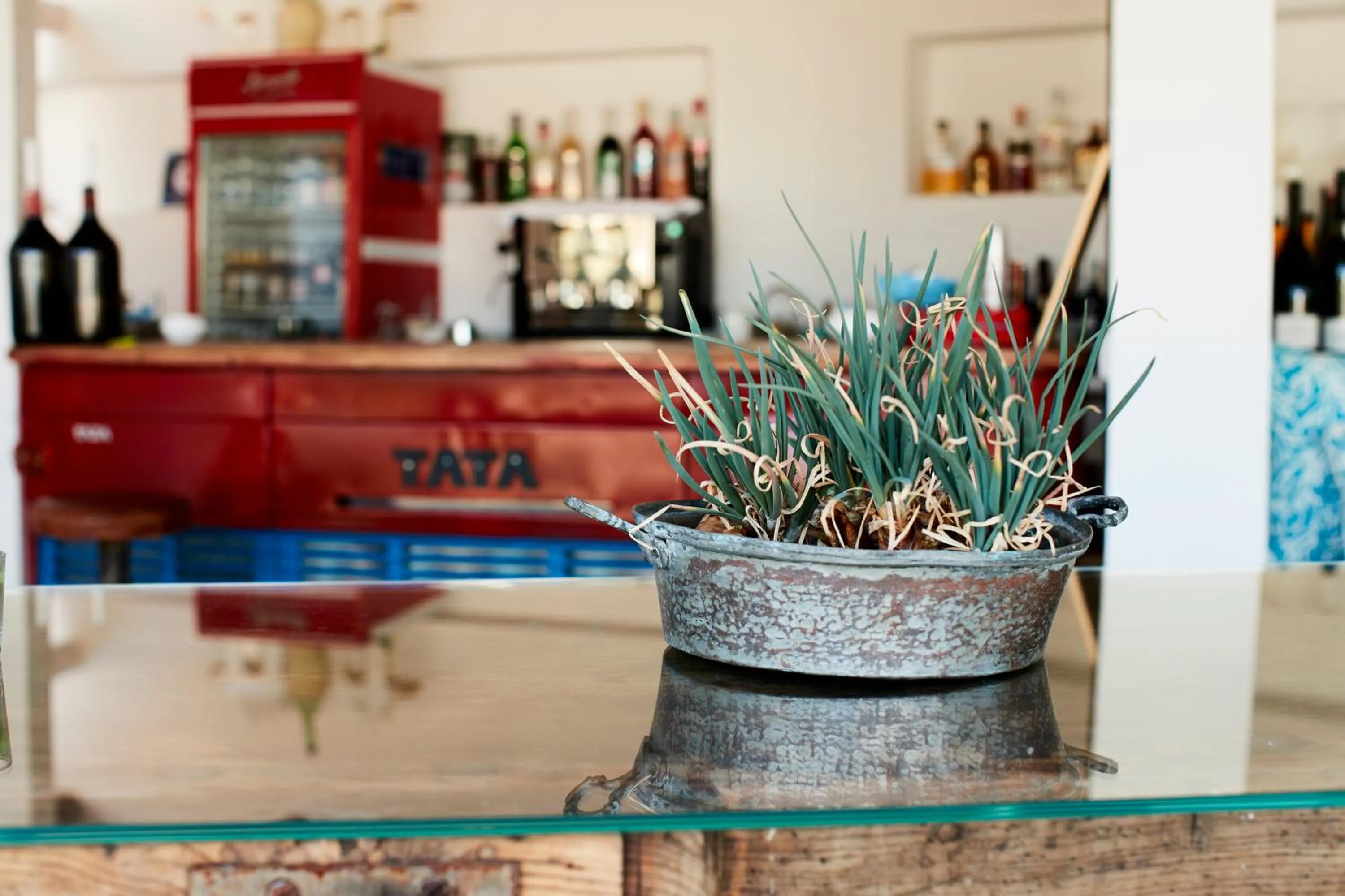 Lounge or bar in Echi di Puglia