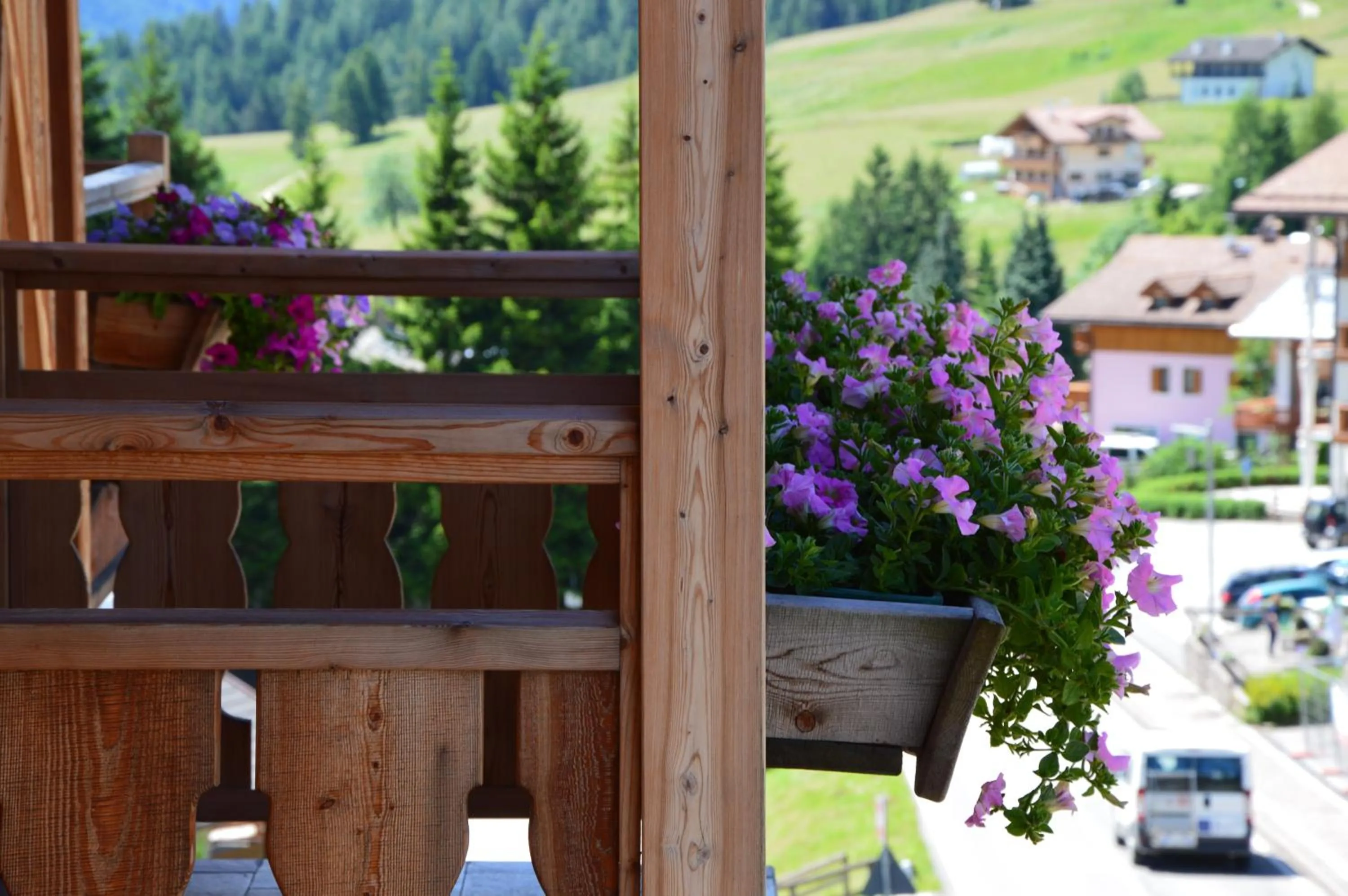 Balcony/Terrace in Hotel Garnì Carpe Diem