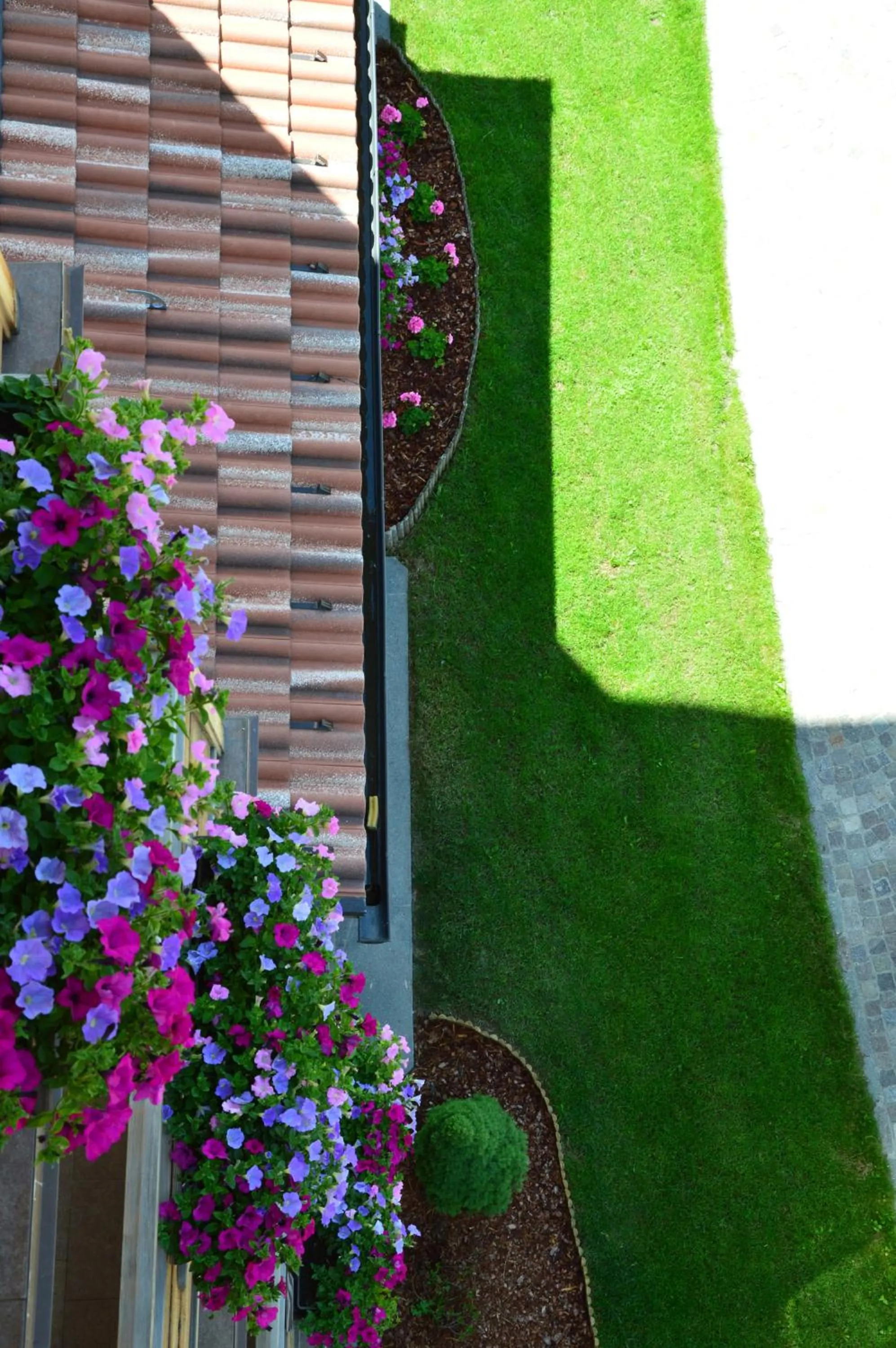 Garden view in Hotel Garnì Carpe Diem