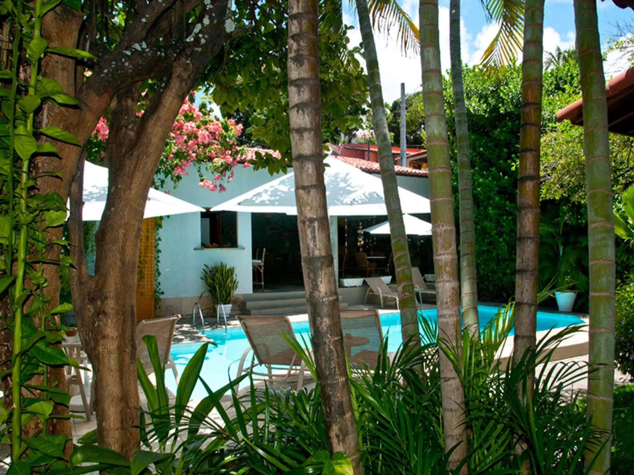 Garden in Pousada Castanheira