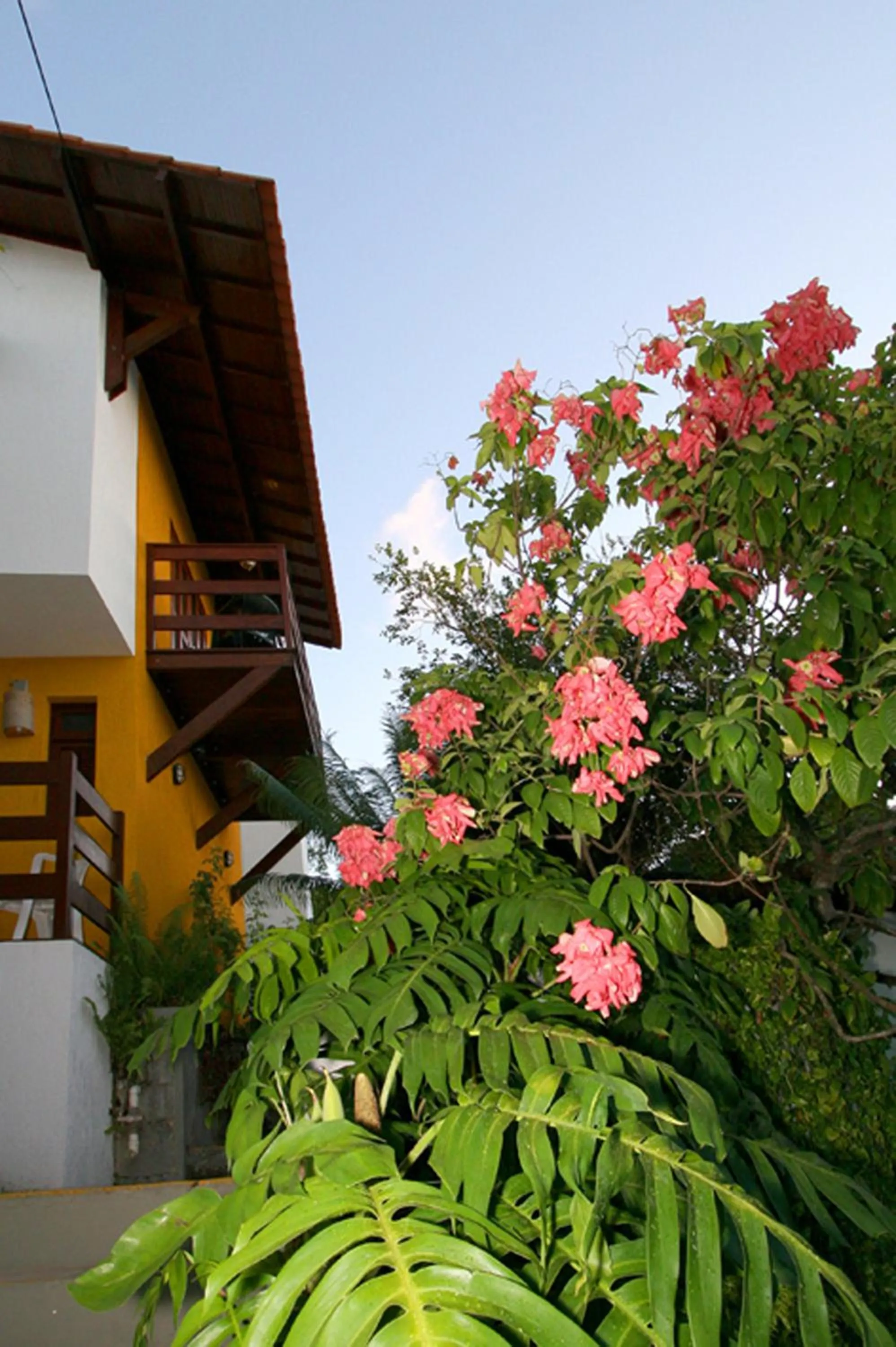 Garden in Pousada Castanheira