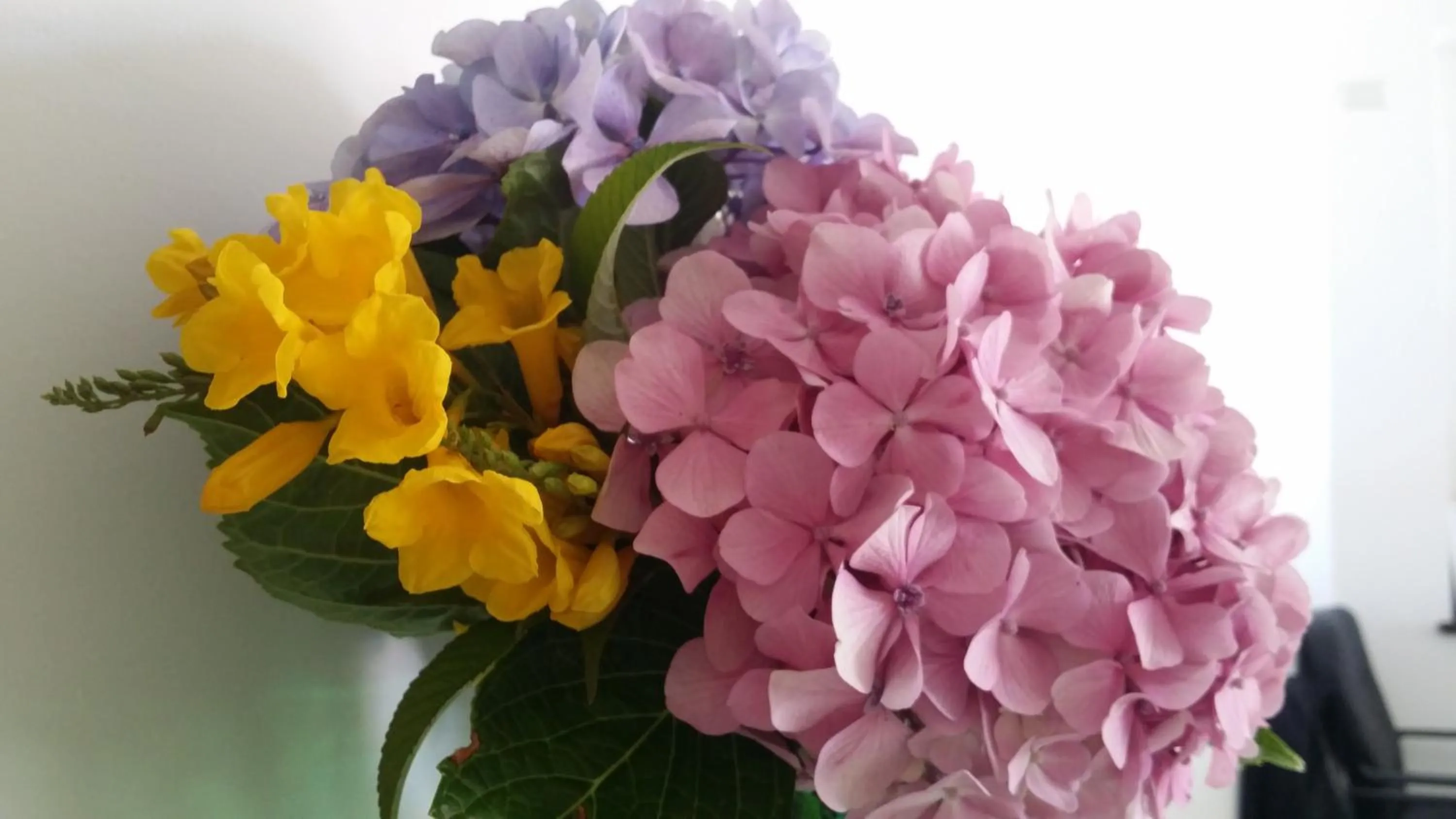 Other in La Zagara Hotel