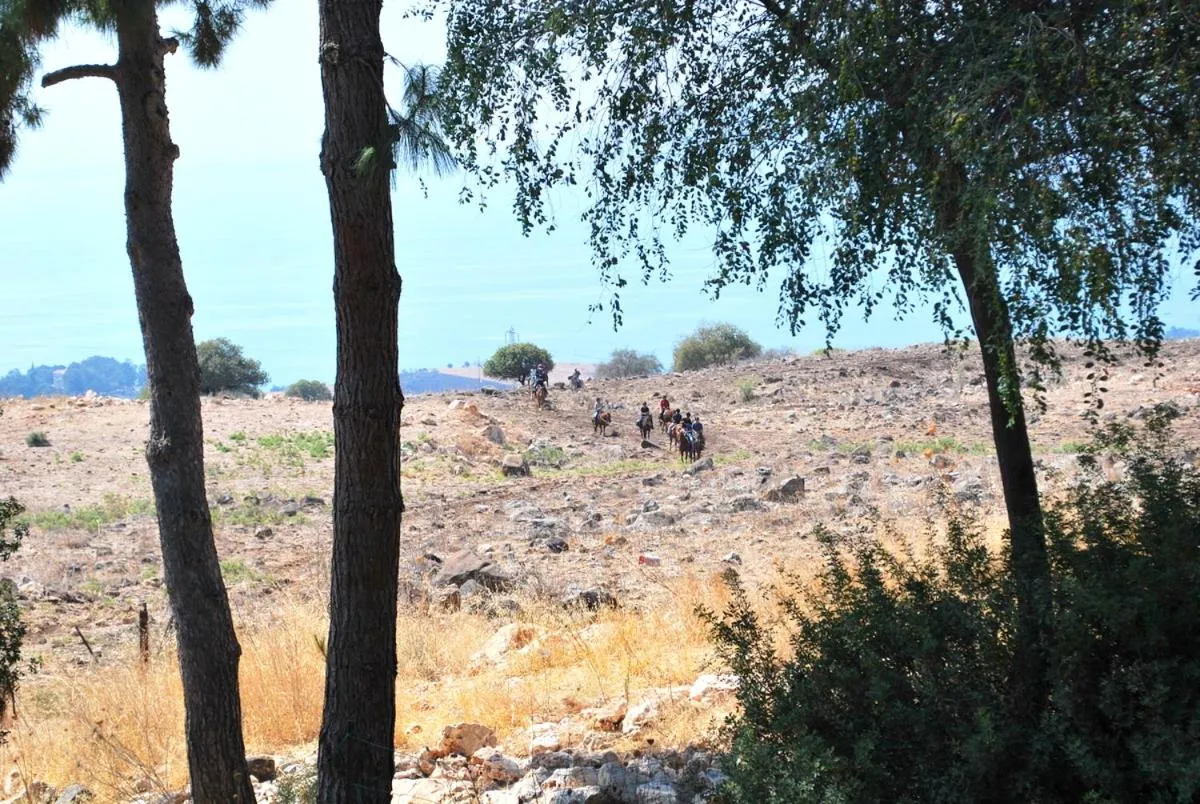 Natural landscape in Vered Hagalil Holiday Village Hotel