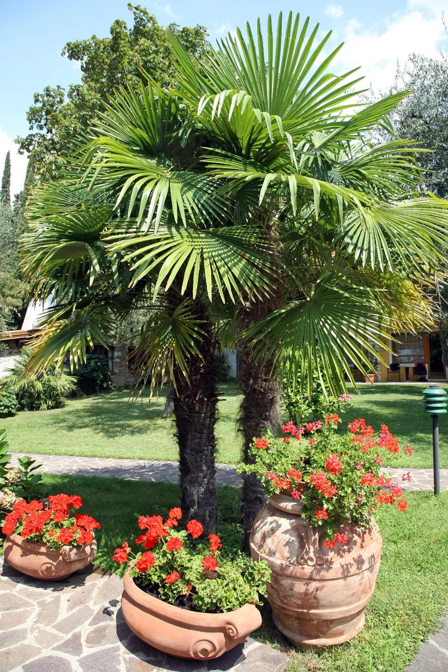 Garden in Hotel Sailing Center