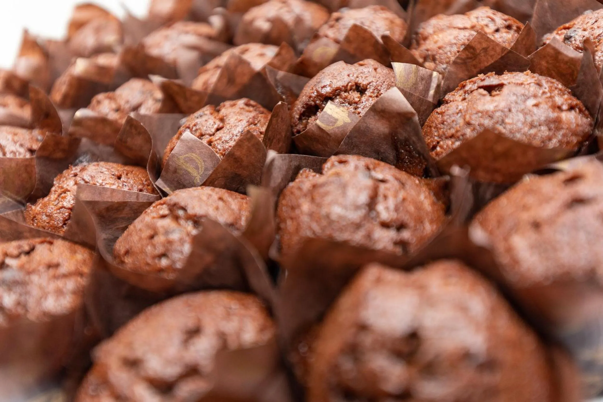 Food and drinks in Algarve Race Resort - Hotel