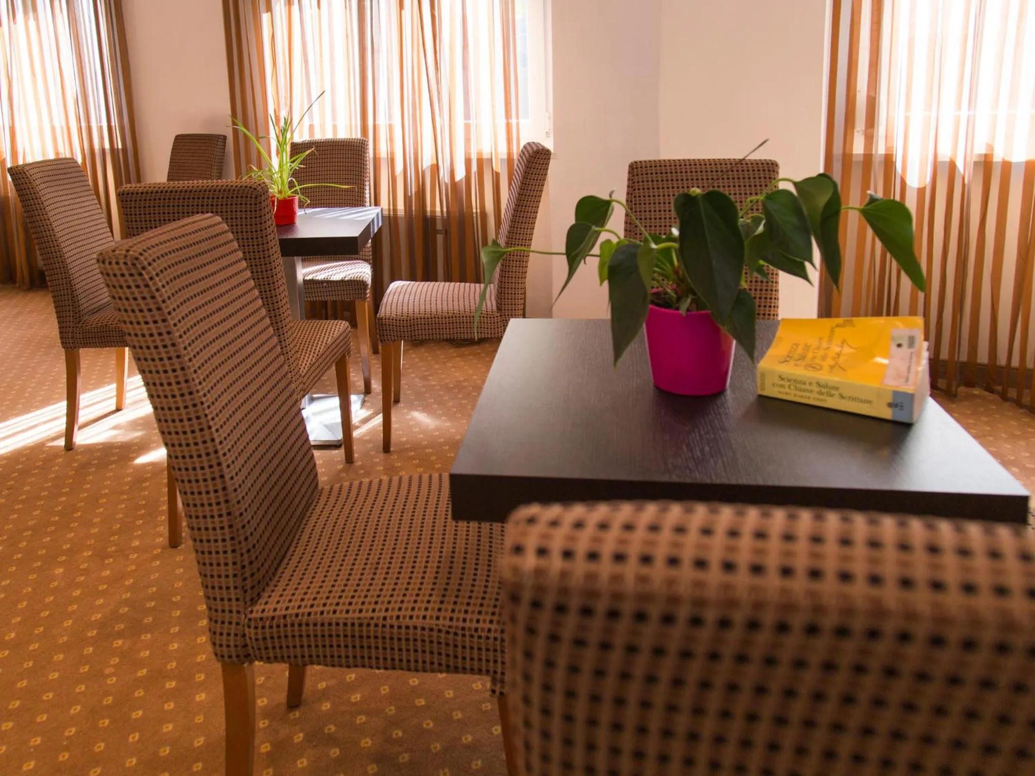 Lounge or bar in Hotel Regina