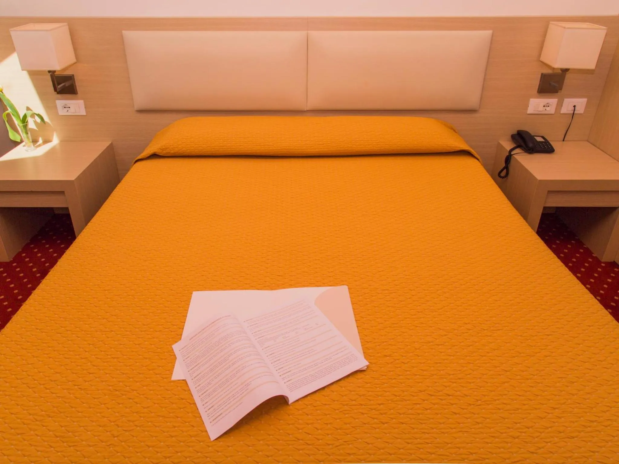 Photo of the whole room, Bed in Hotel Regina